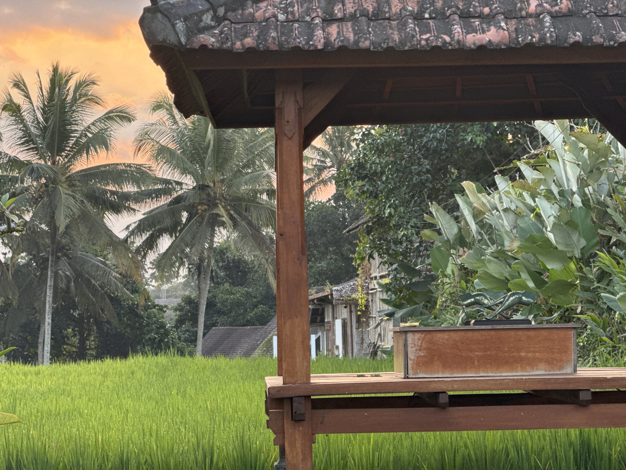 Morning life in Tegallalang — rice terraces, temples, and village streets