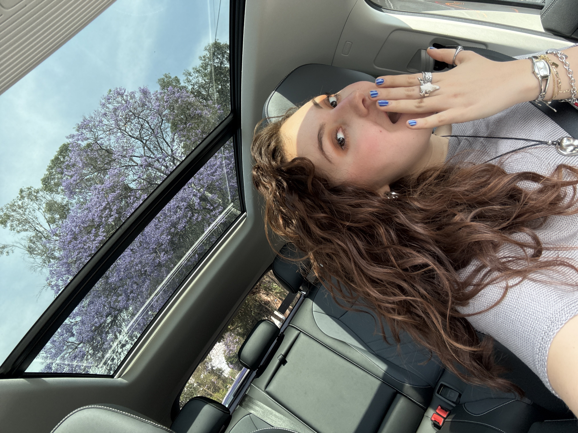 Woman observed looking through car sunroof amid Mexico City Jacarandas