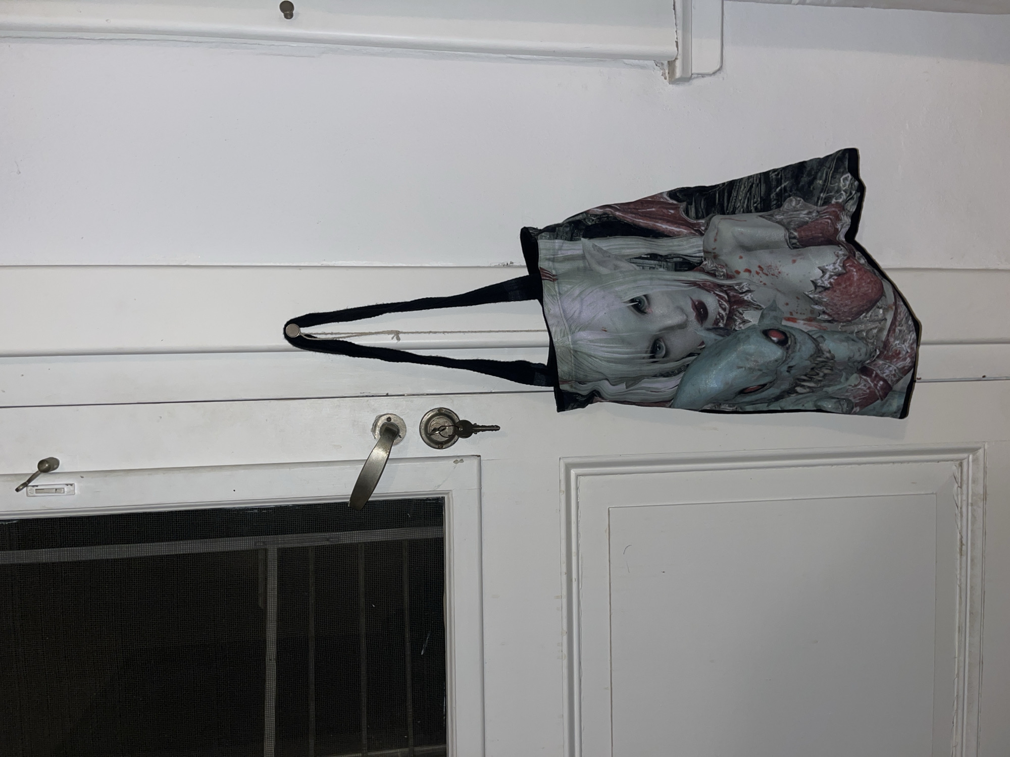 Quiet evening domestic scenes captured in Buenos Aires home