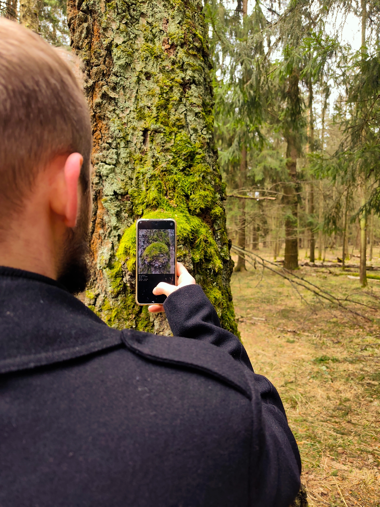 Man documents spring forest walk in Kratovo, Russia