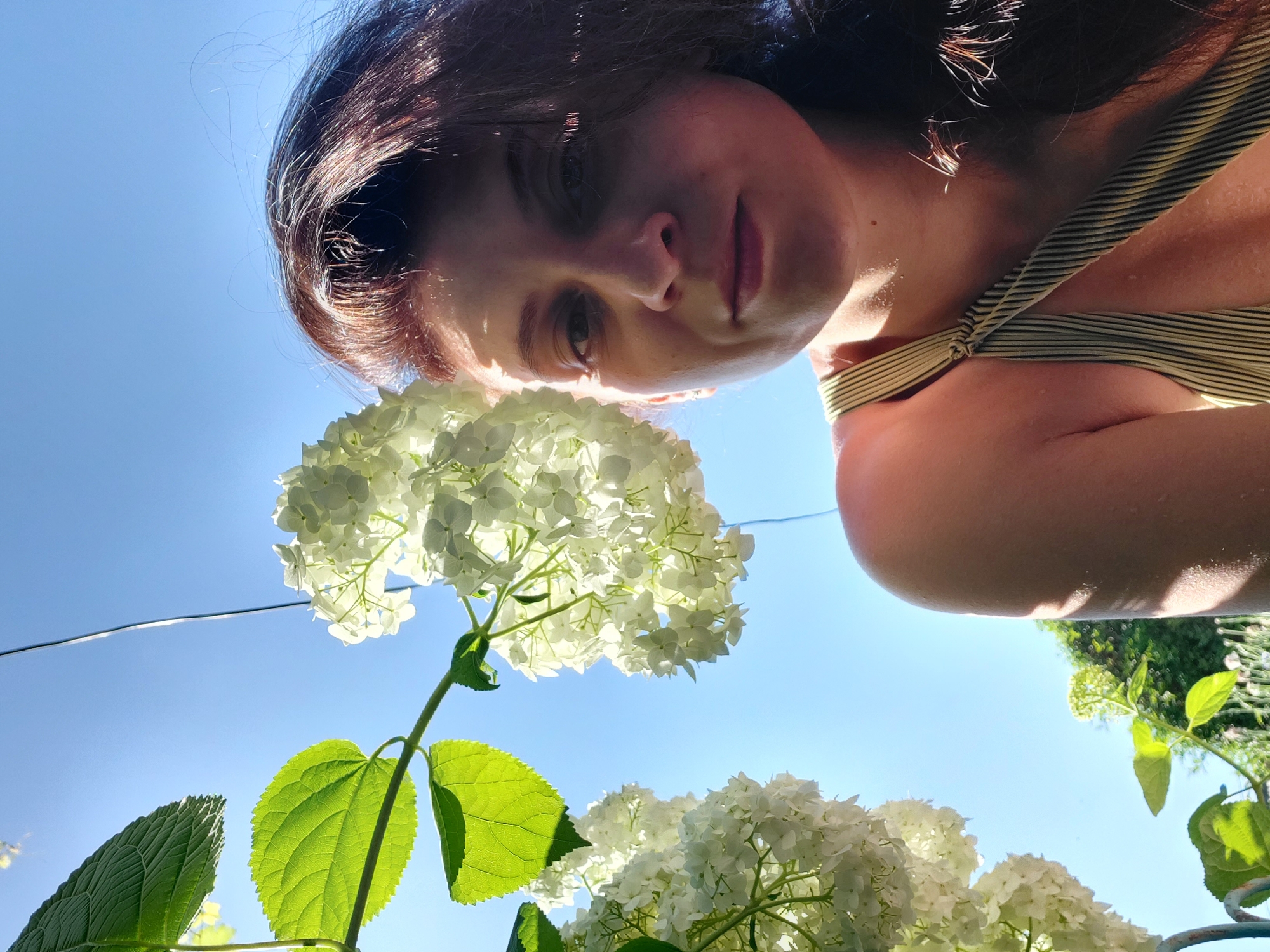 Woman displays white hydrangeas in Tavaksay, Uzbekistan