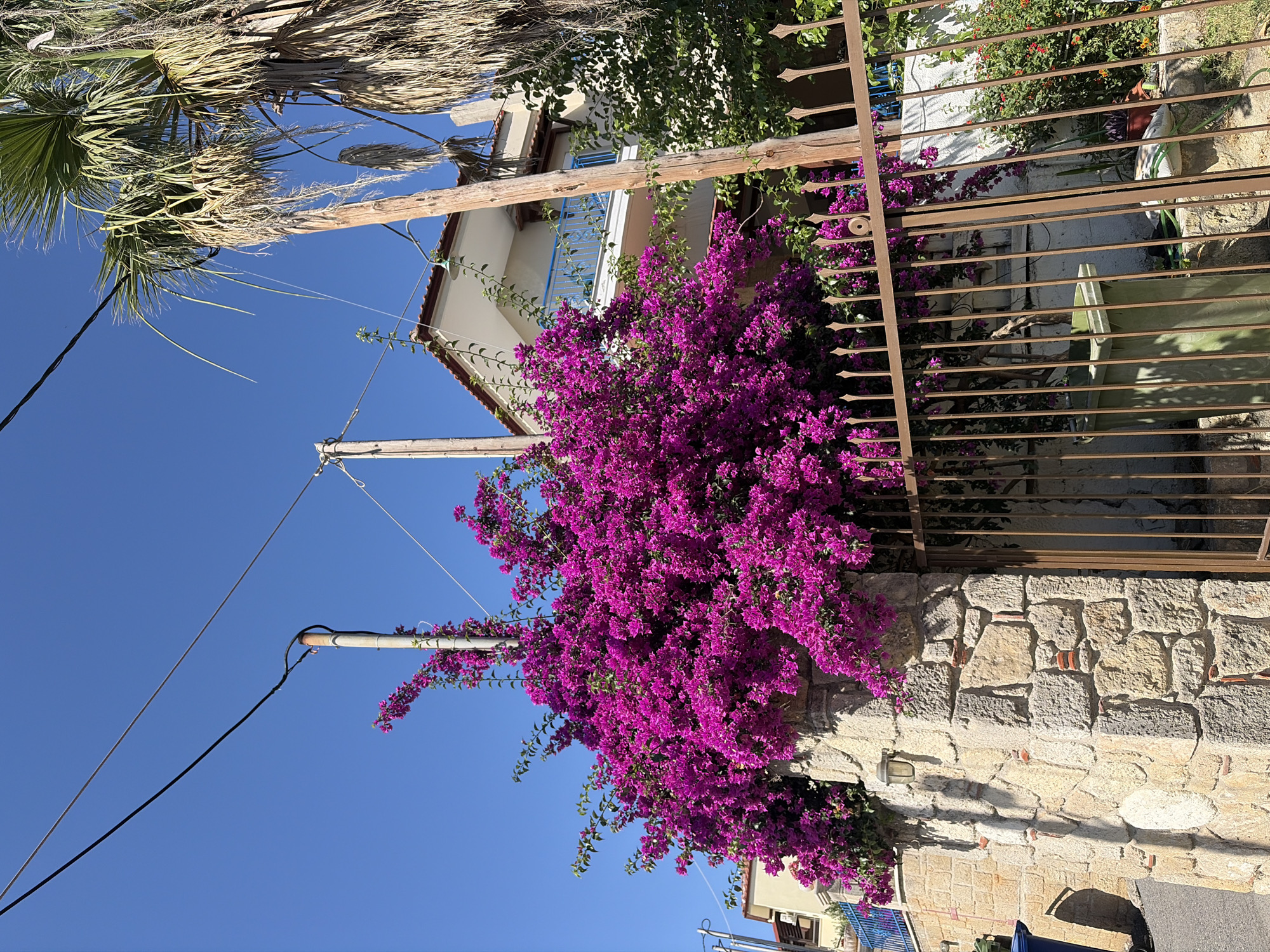 Sunny morning scenes from a Kassandra coastal village