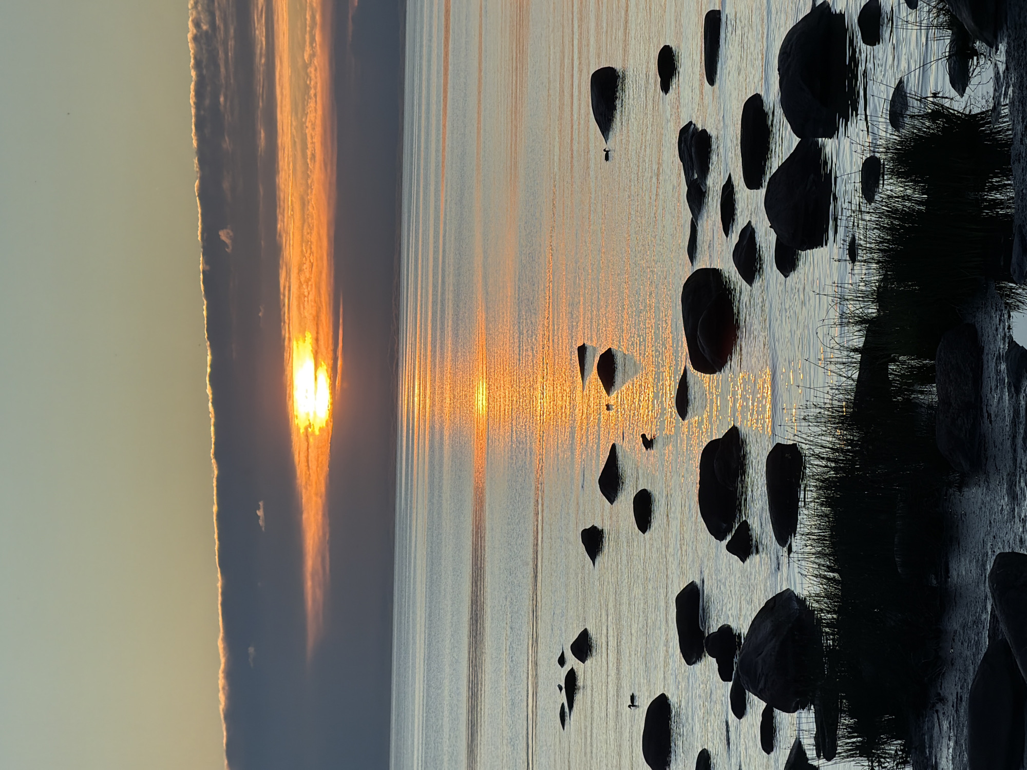 Sunset on the Estonian coast: swans, rocks, and Baltic ferries