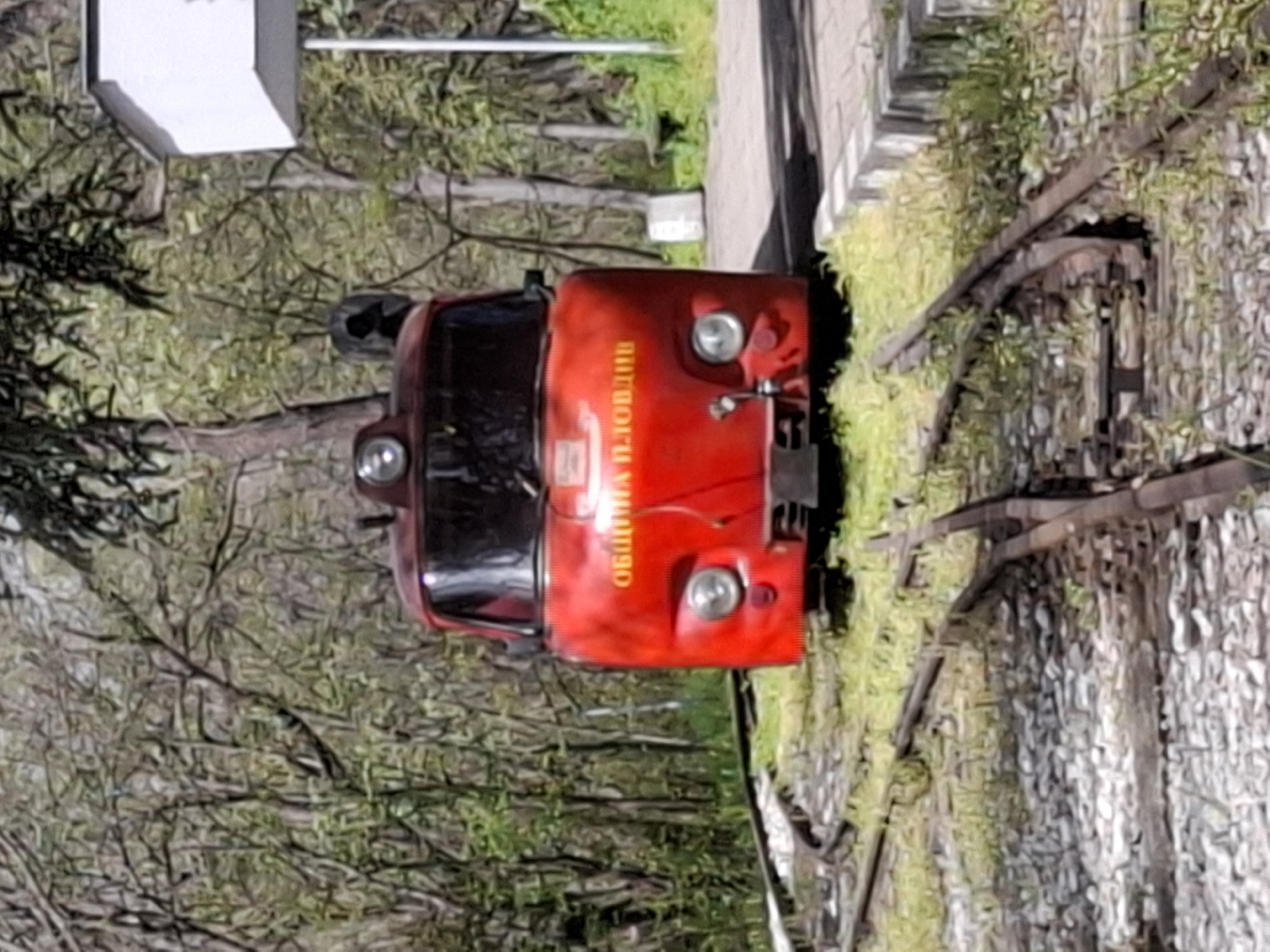 Morning scenes captured in Plovdiv: miniature train, flowers, trails