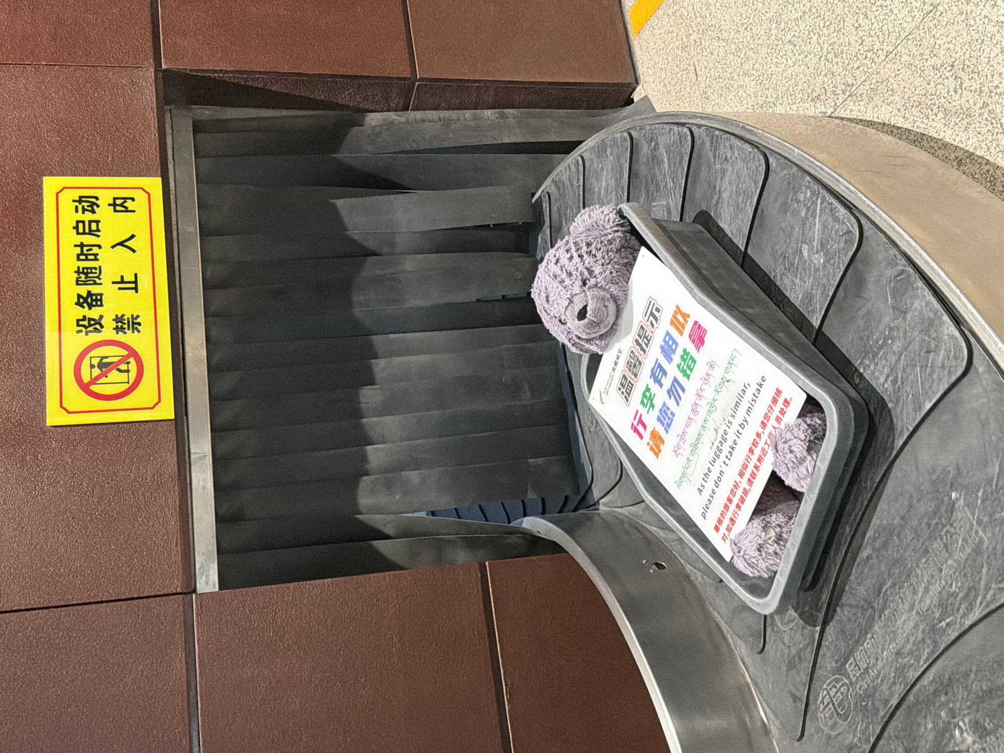 Purple stuffed animal spotted on airport luggage carousel in Gyazhugling