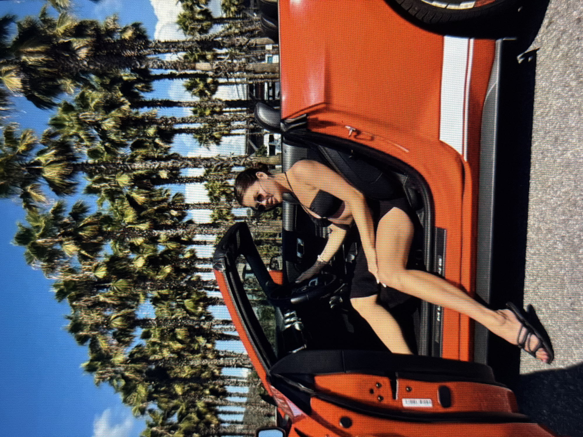 Evening snapshots from Sirius: a pug, a convertible, and good night