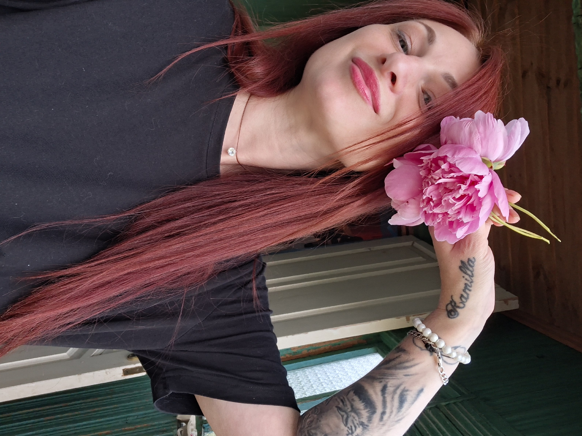 Peonies and a dressed-up Sphynx cat at home in Belarus