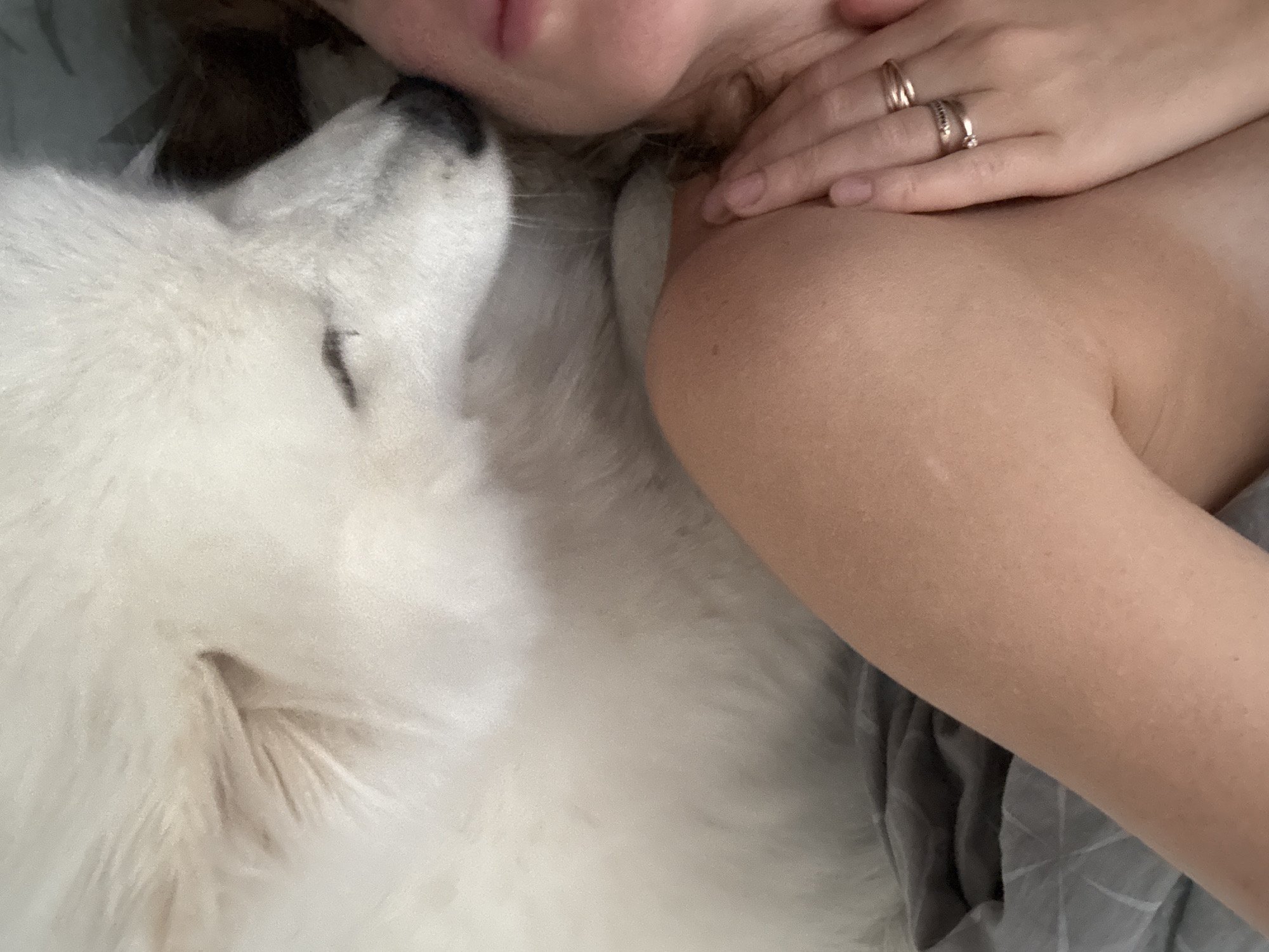 Quiet morning moments with pet captured in Chaikovsky, Russia
