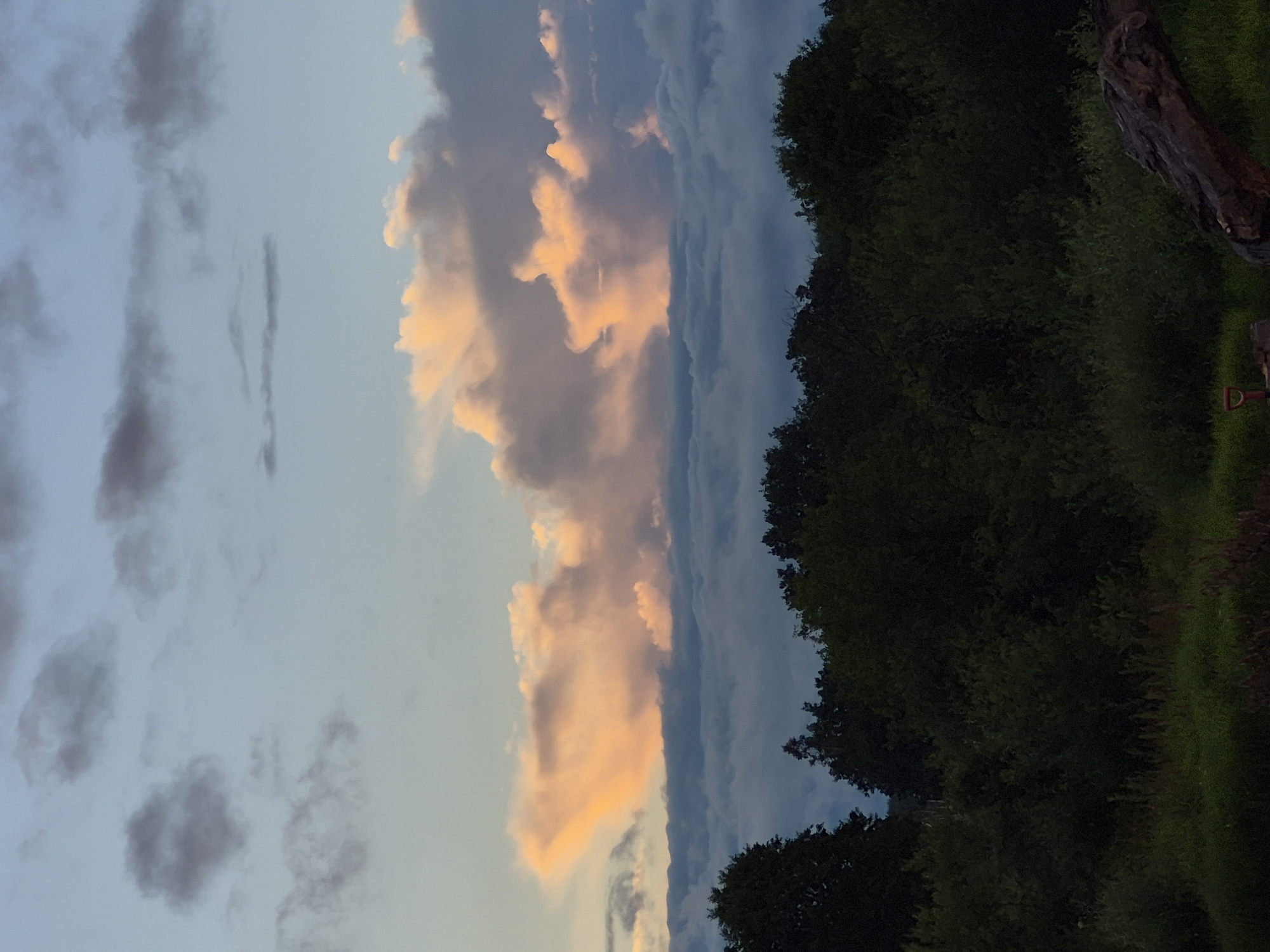Estonian forest and sky at golden hour, rainbow included