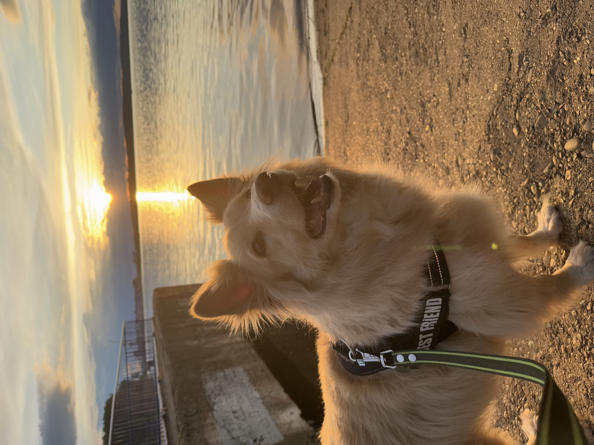 Evening life captured across Chaikovsky, Russia during sunset hour