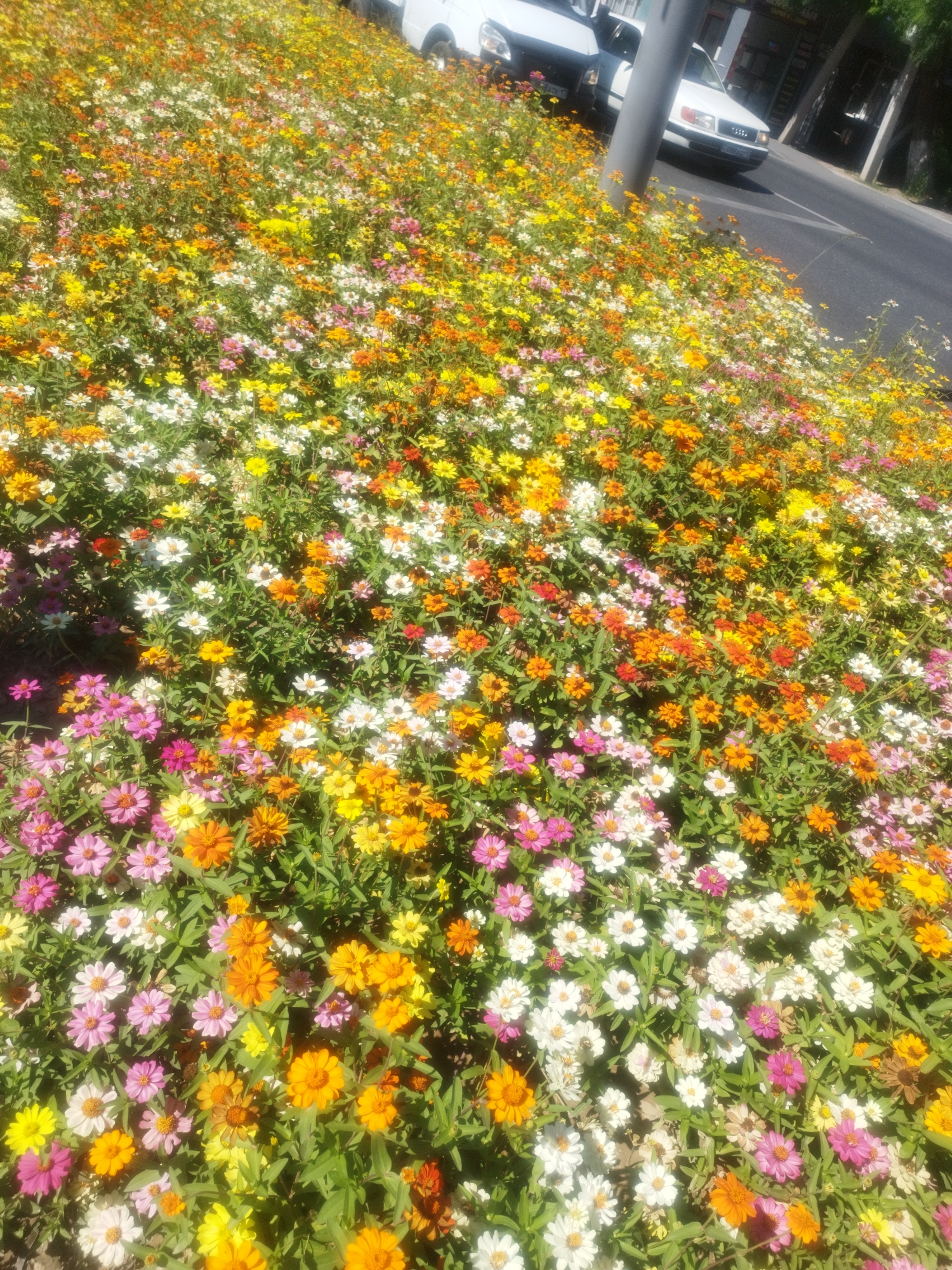 Colorful flowerbed and commemorative statue in Shymkent public space