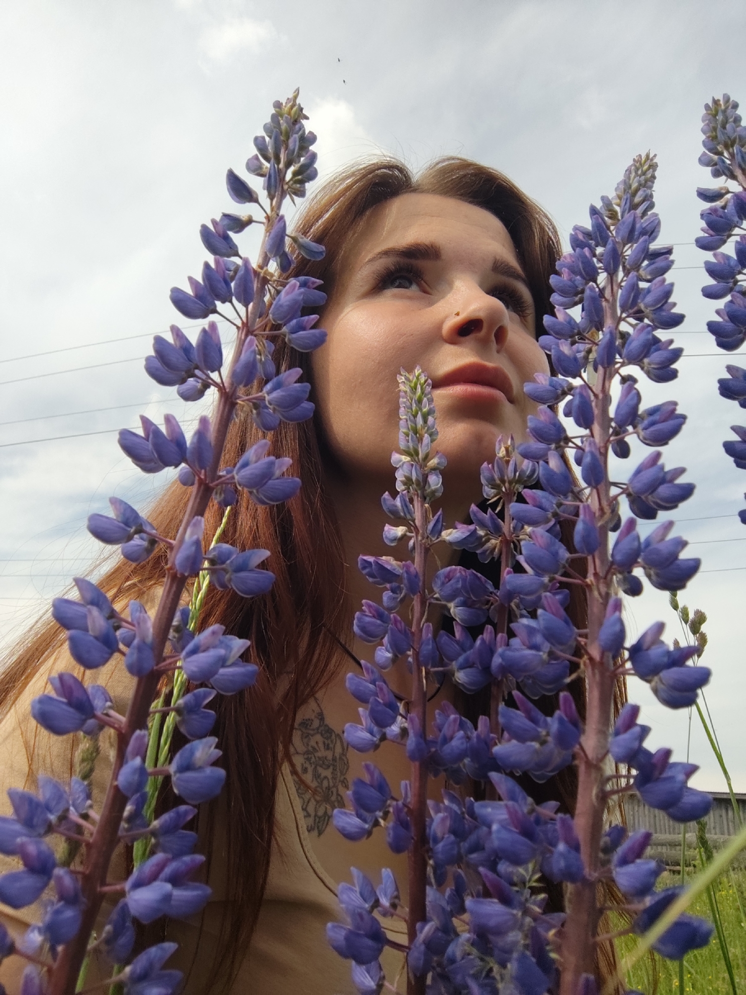 Woman photographed among lupine flowers in Russian field
