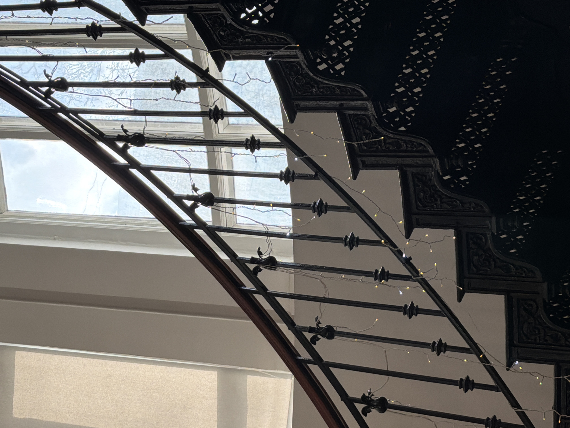 Moscow witnesses document decorative lighting displays and curious cat