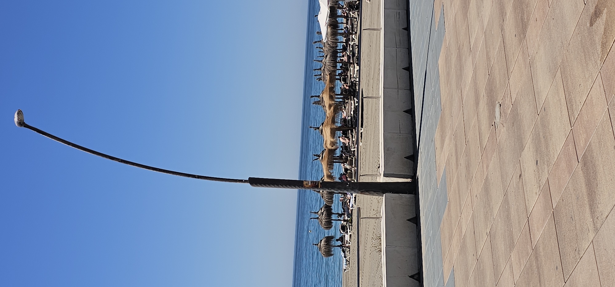Morning stroll through sunny Estepona promenade and streets documented