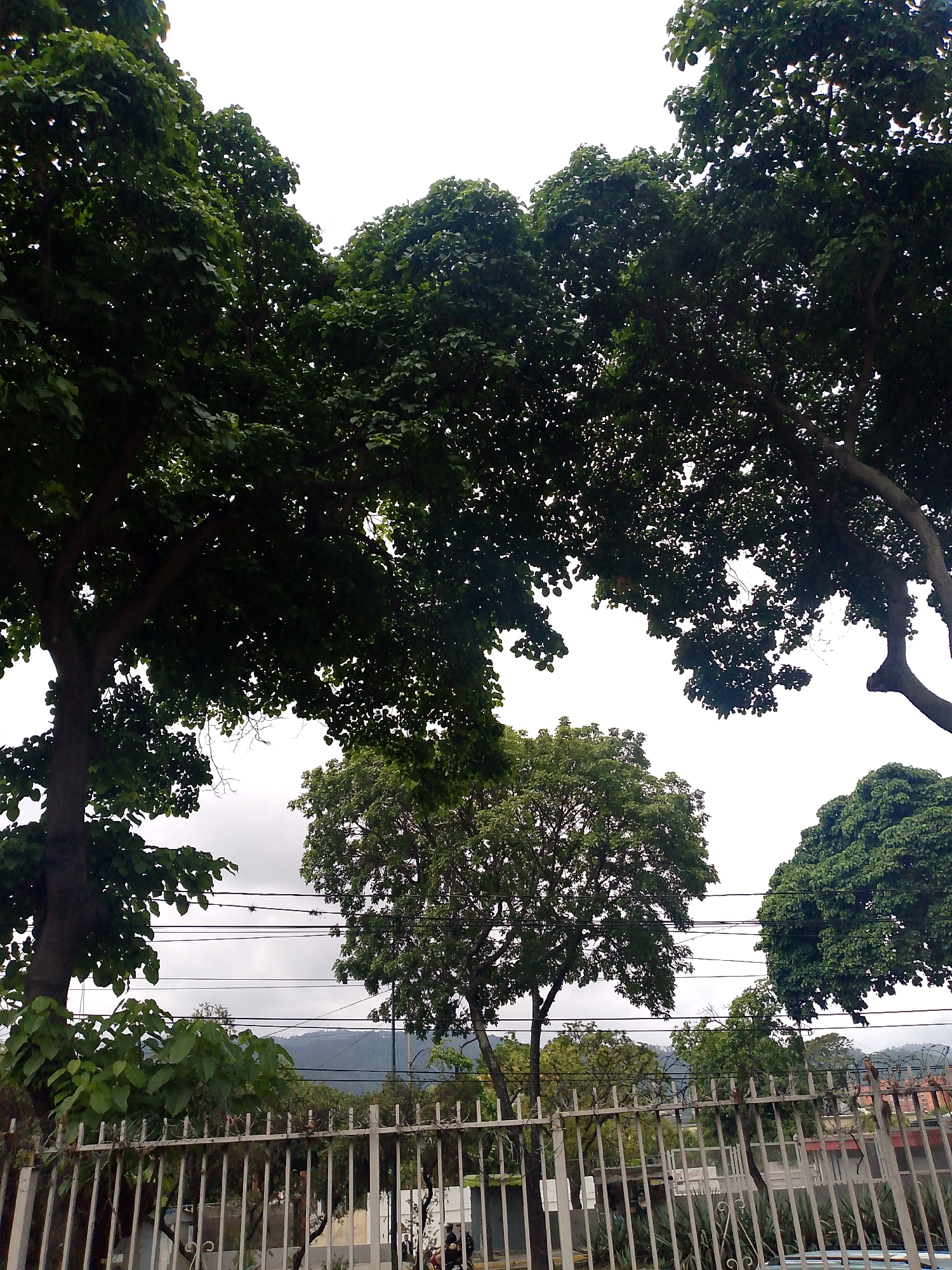 Ordinary street life documented across Caracas neighborhoods Sunday afternoon