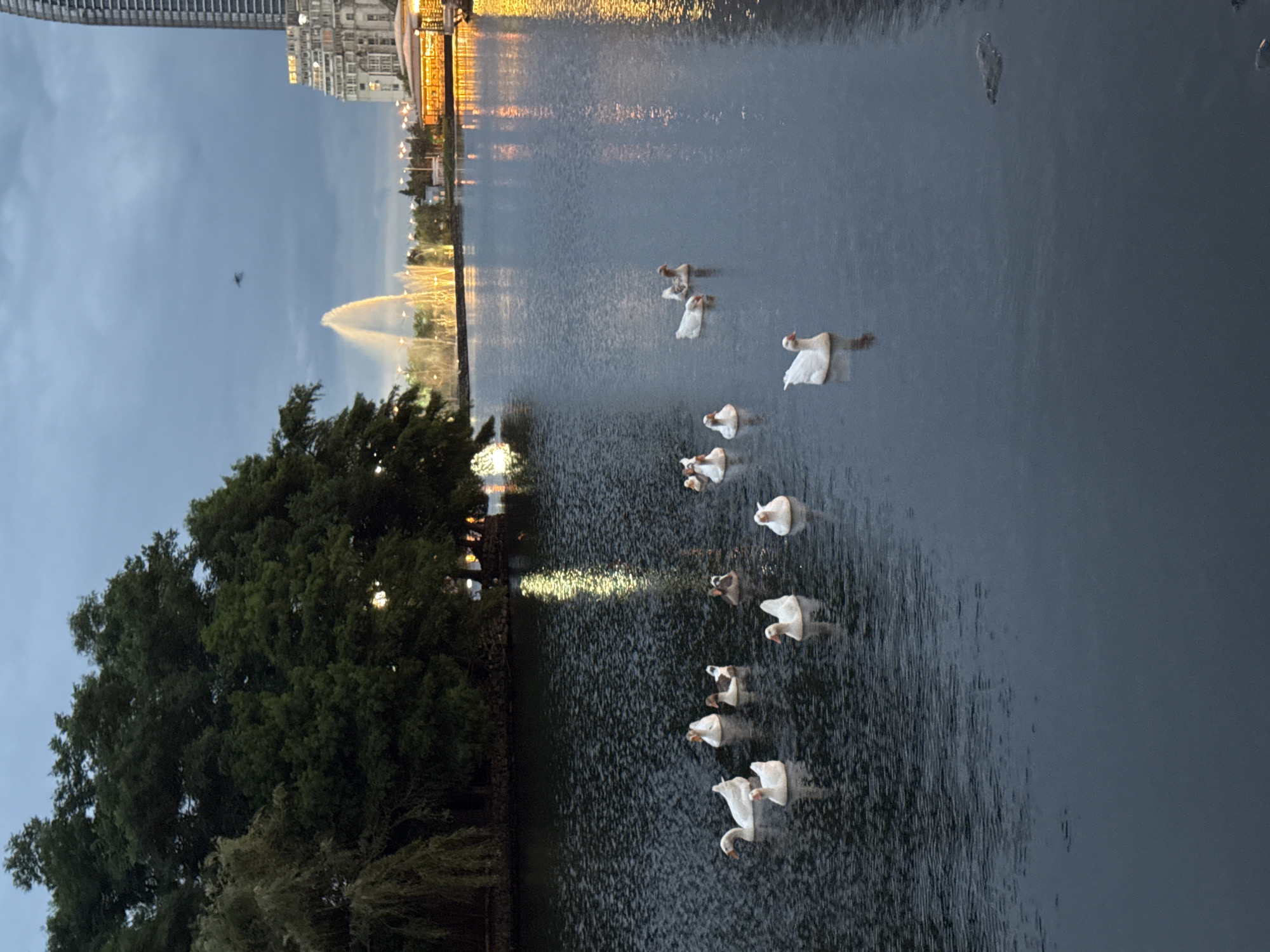 Batumi Boulevard at dusk — landmarks, lights, and waterfront life