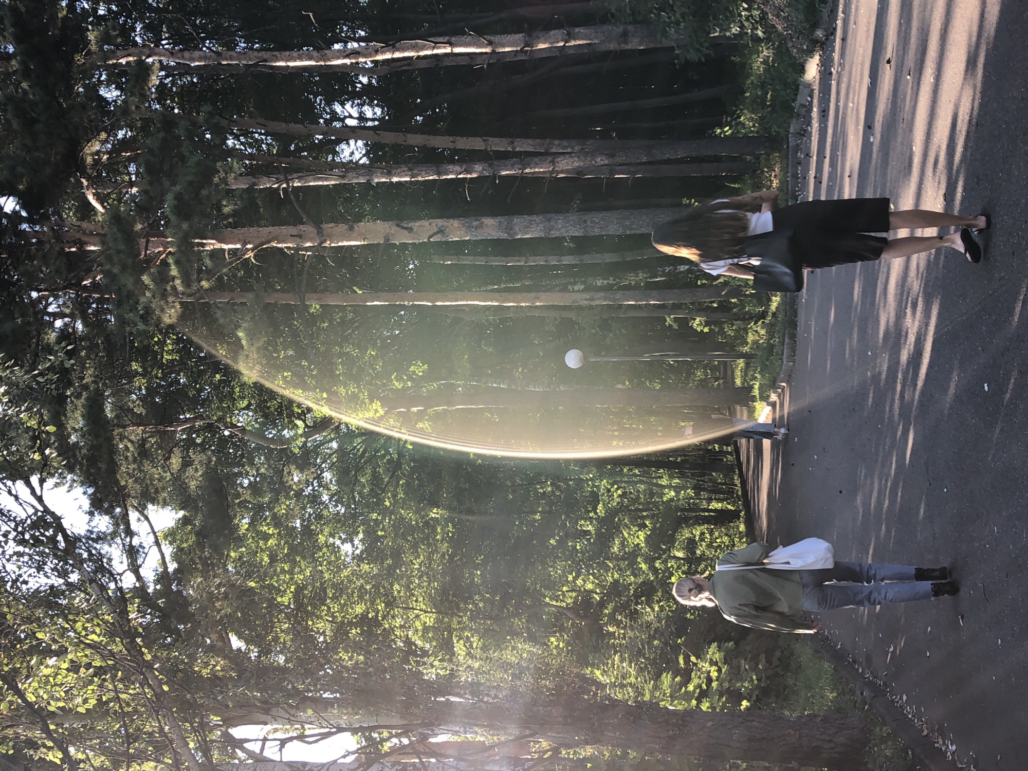 A casual walk along a paved path through a park.