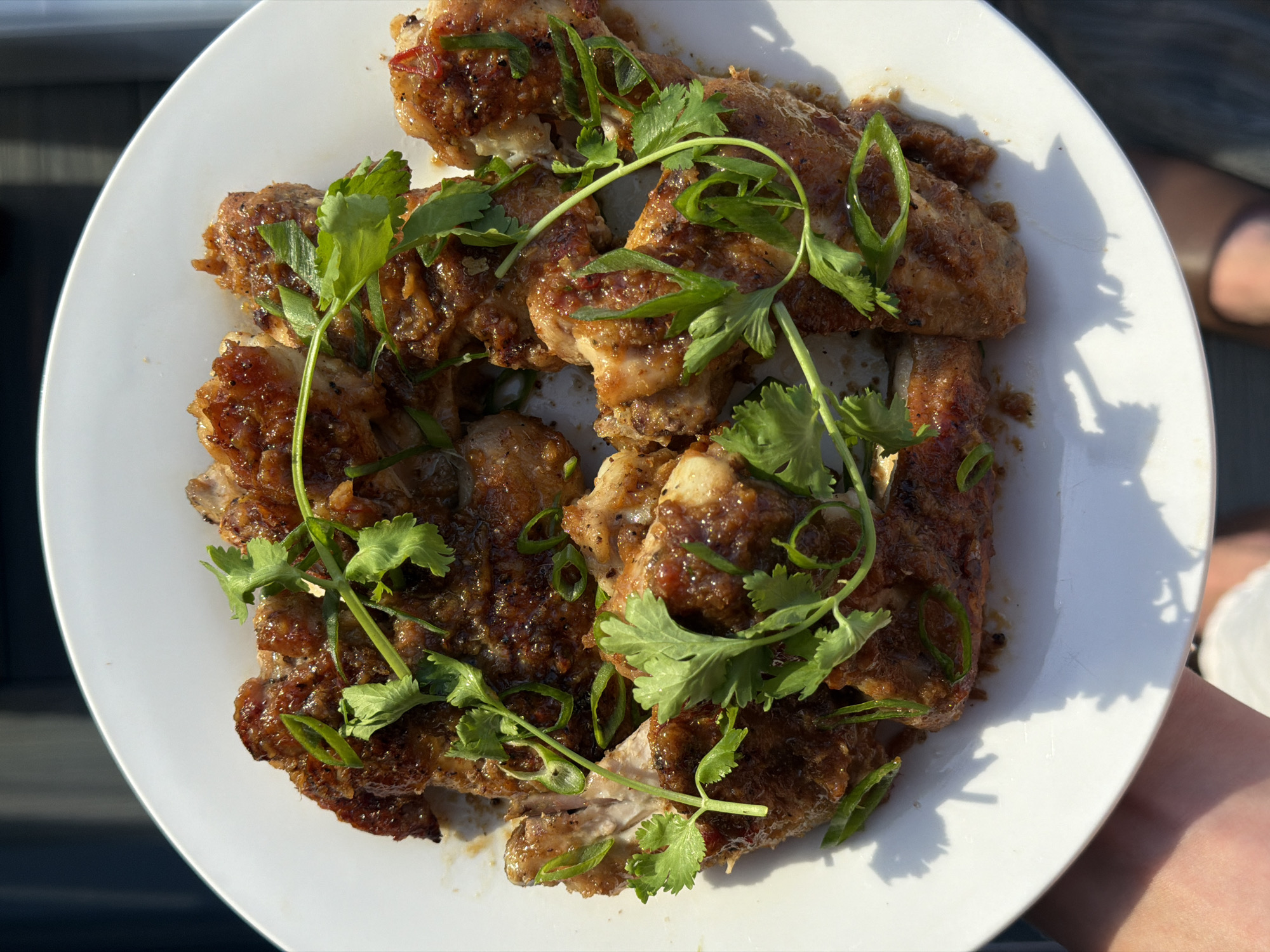 Grilled chicken in dark chili sauce, plated and ready