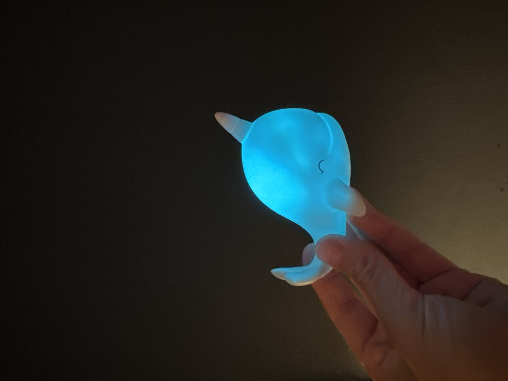 Personal items including glowing toy documented in Fethiye Turkey