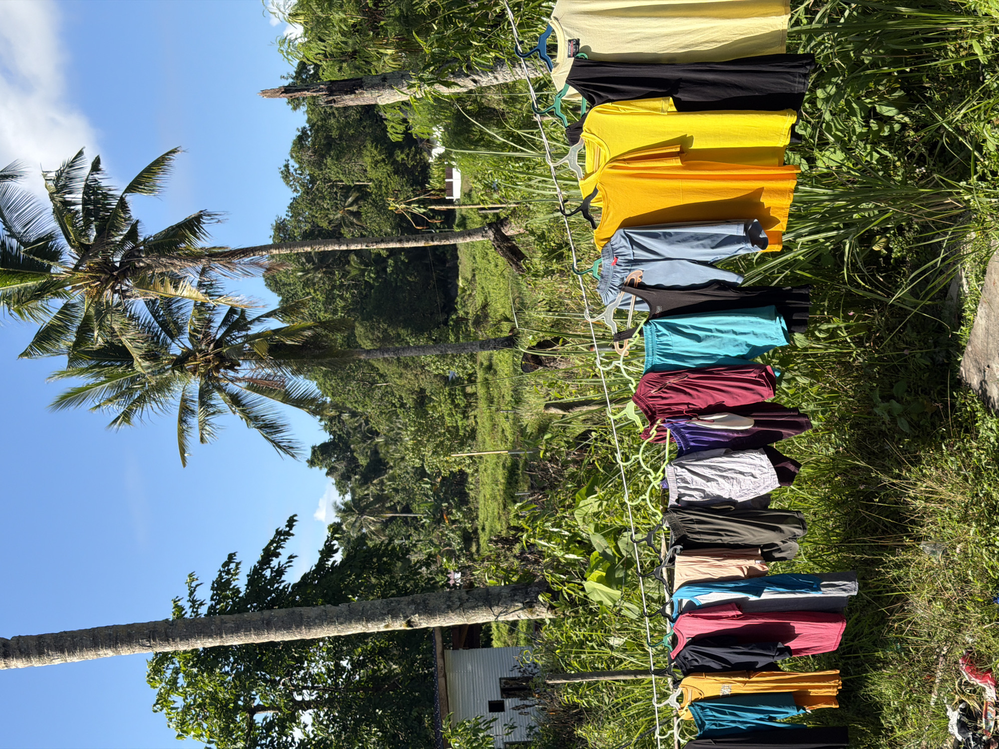 Laundry hanging on clothesline observed in tropical General Luna