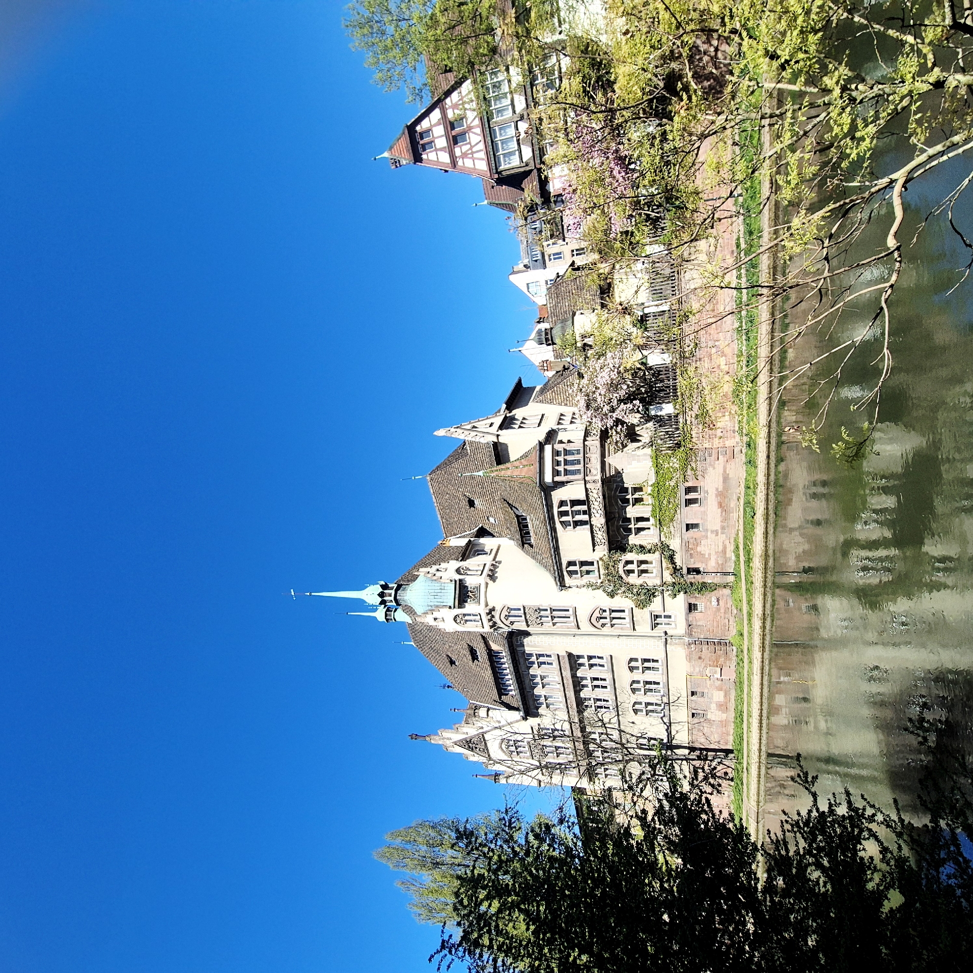 Tour boats navigate Strasbourg canals as spring blooms emerge