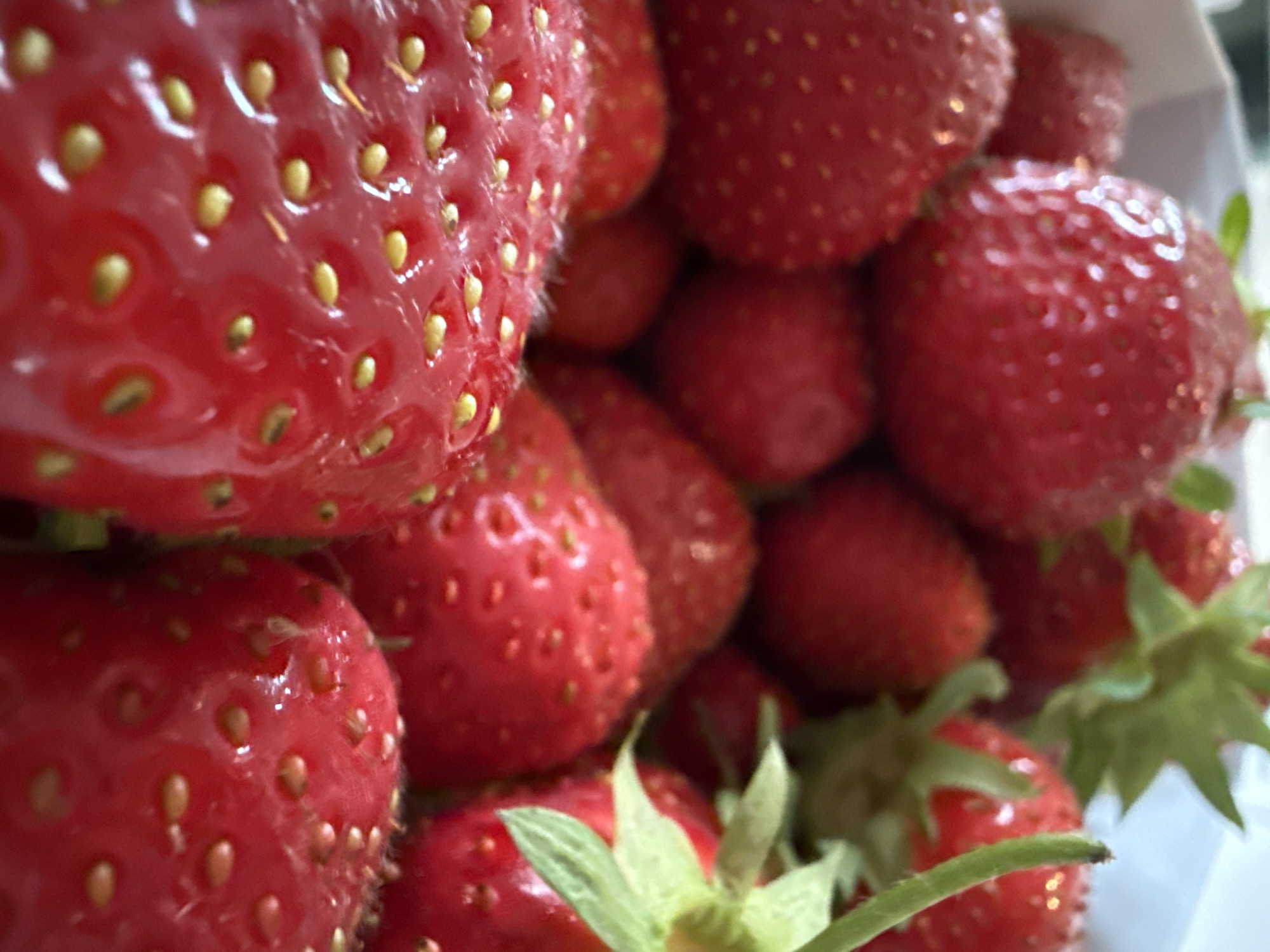Swiss resident documents strawberry smoothie making, home scenes