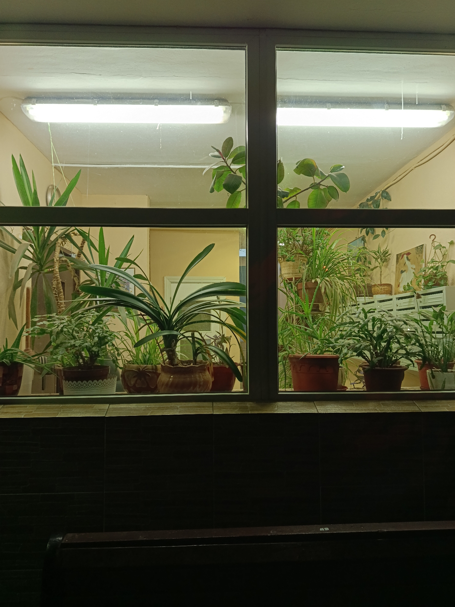 Evening memories captured across residential Moscow neighborhood