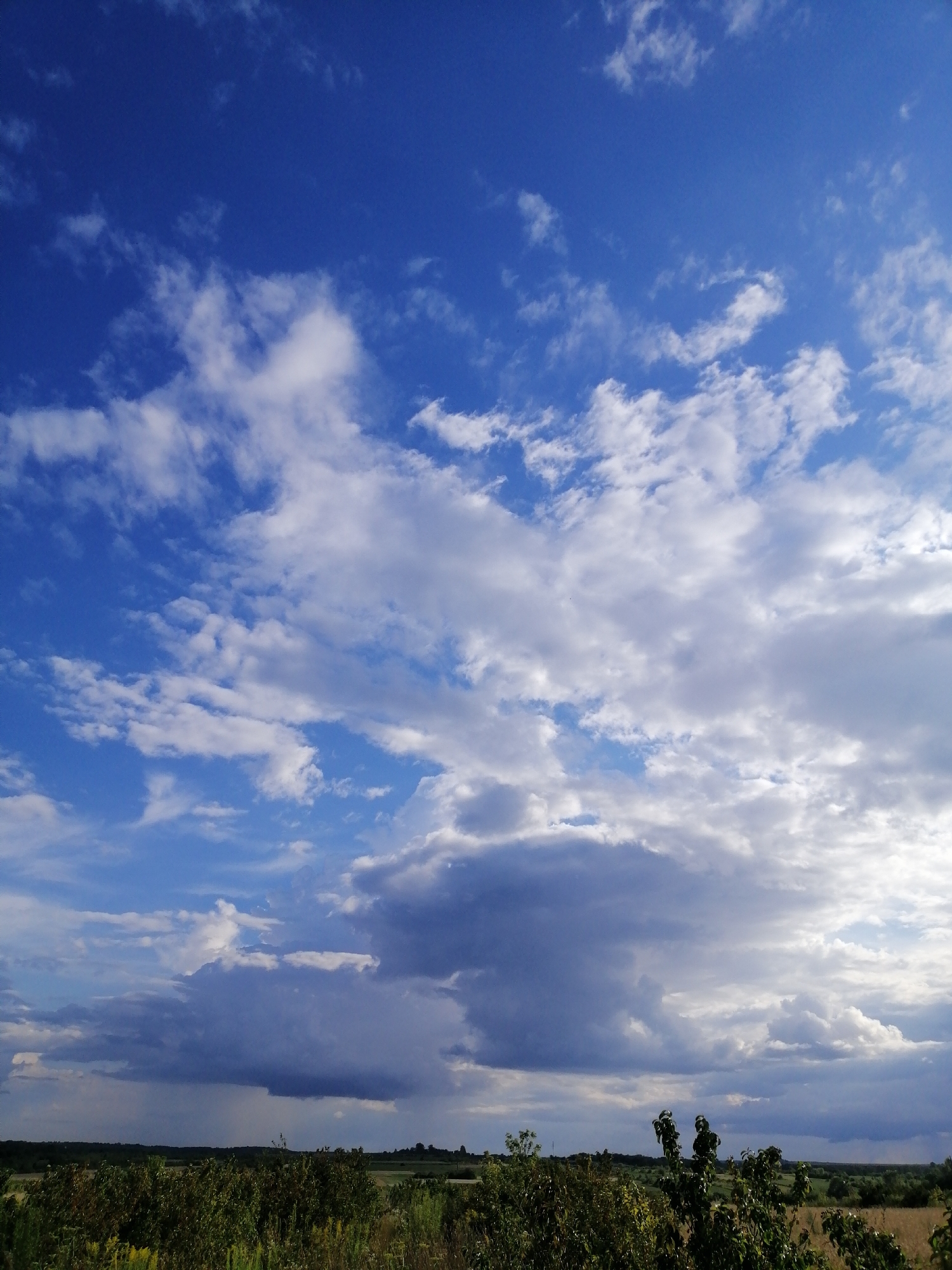 Wheat harvest underway in rural Ukraine amid stormy summer skies