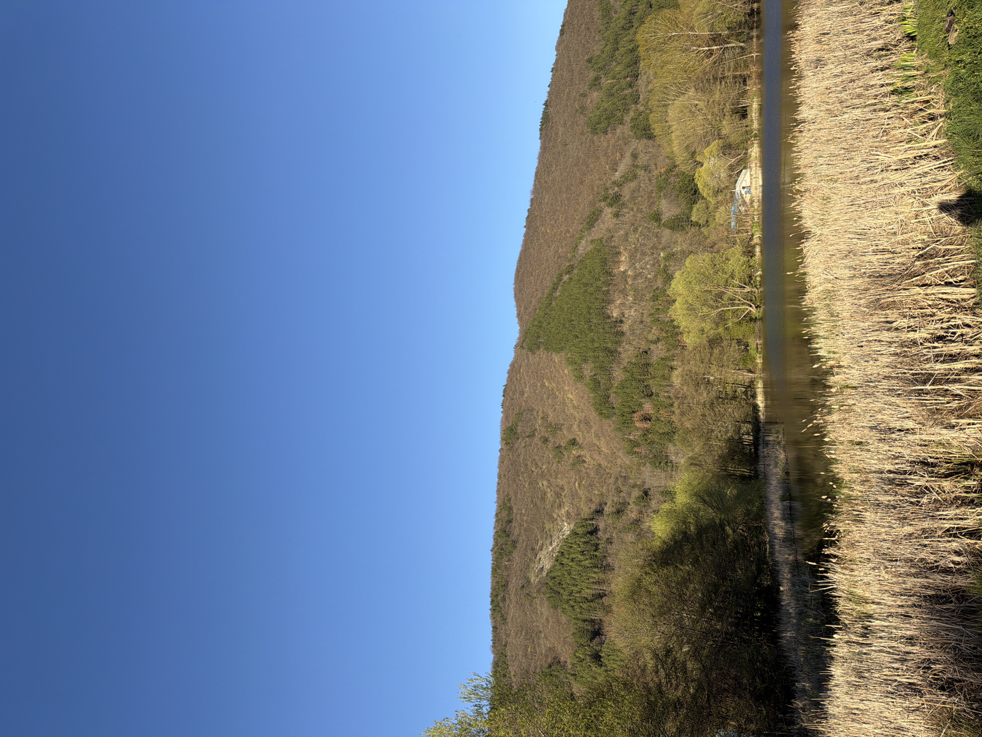 Spring mountain views documented across Sofia region villages