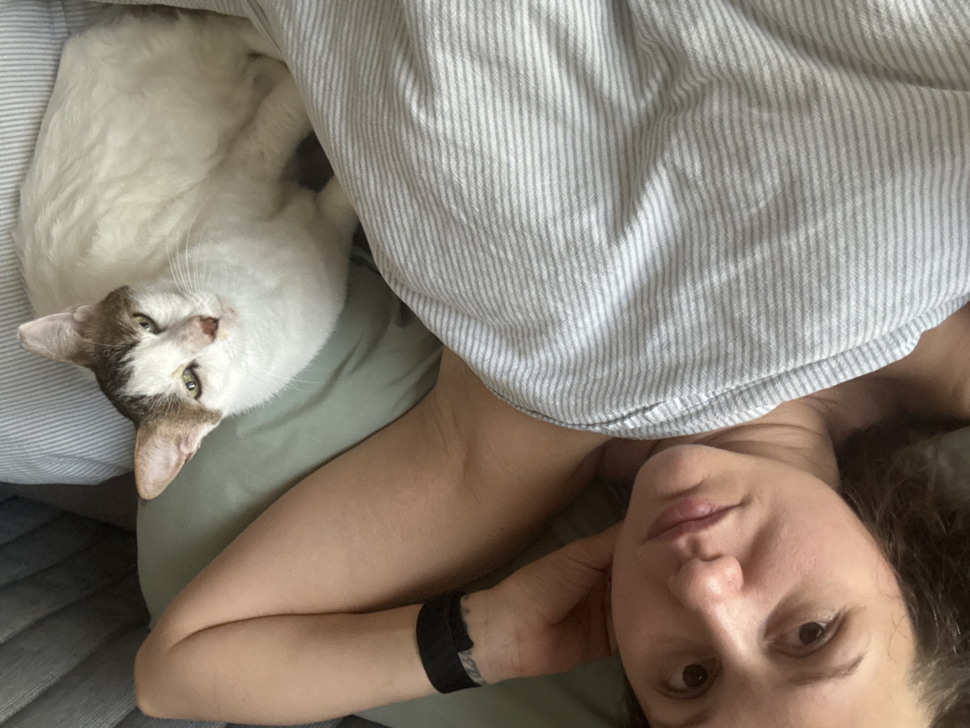 Woman and cat share quiet bedtime moment in Dubai