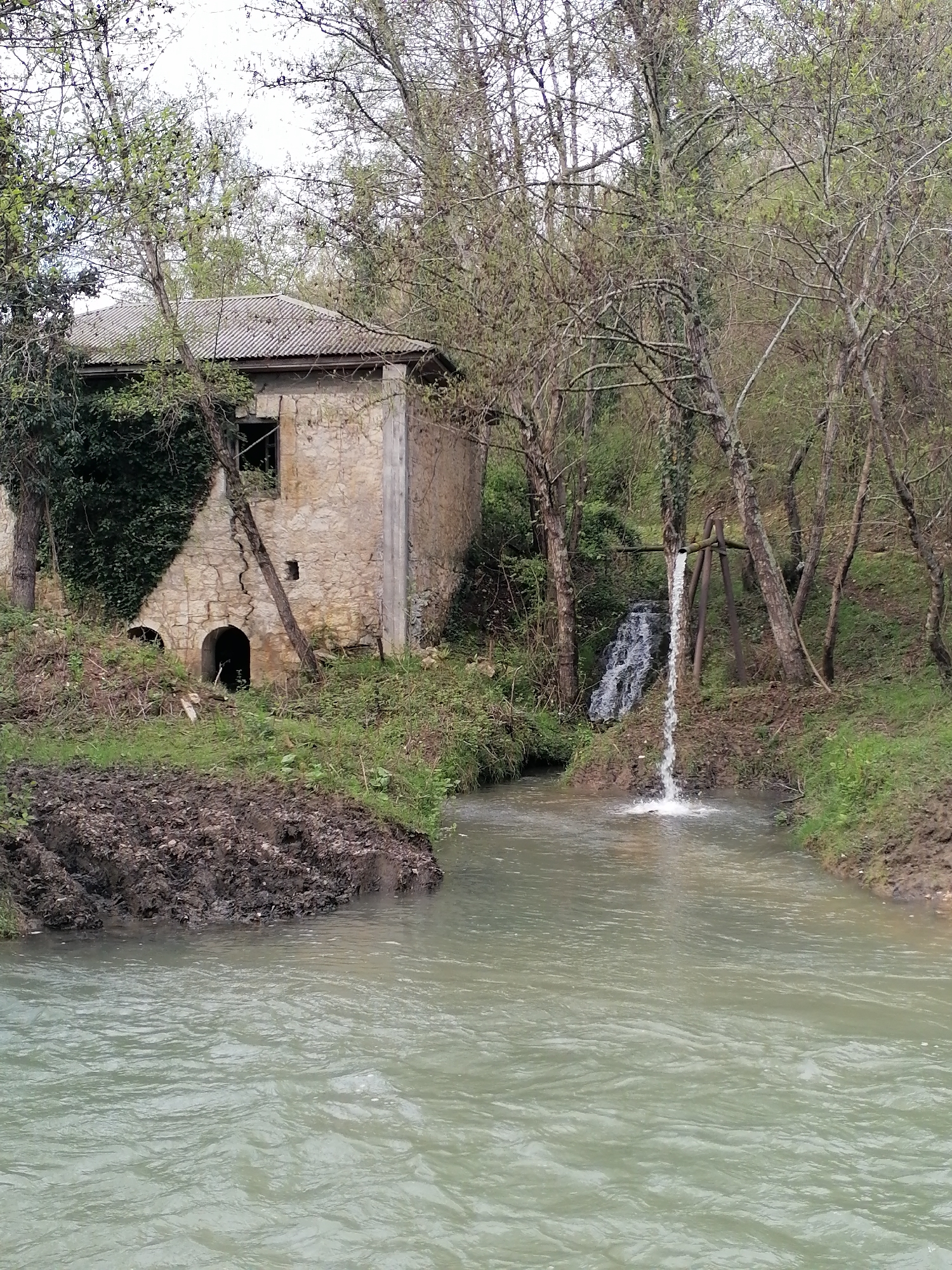 Waterfall documented in Tsukwara, Abkhazia forest setting