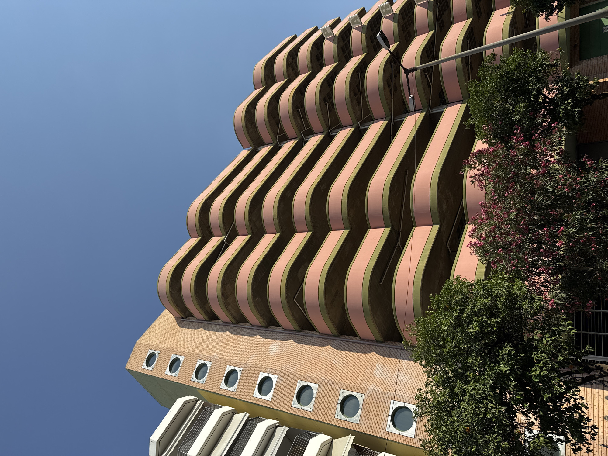 Street-level Athens: architecture, flora, and signage on a summer afternoon