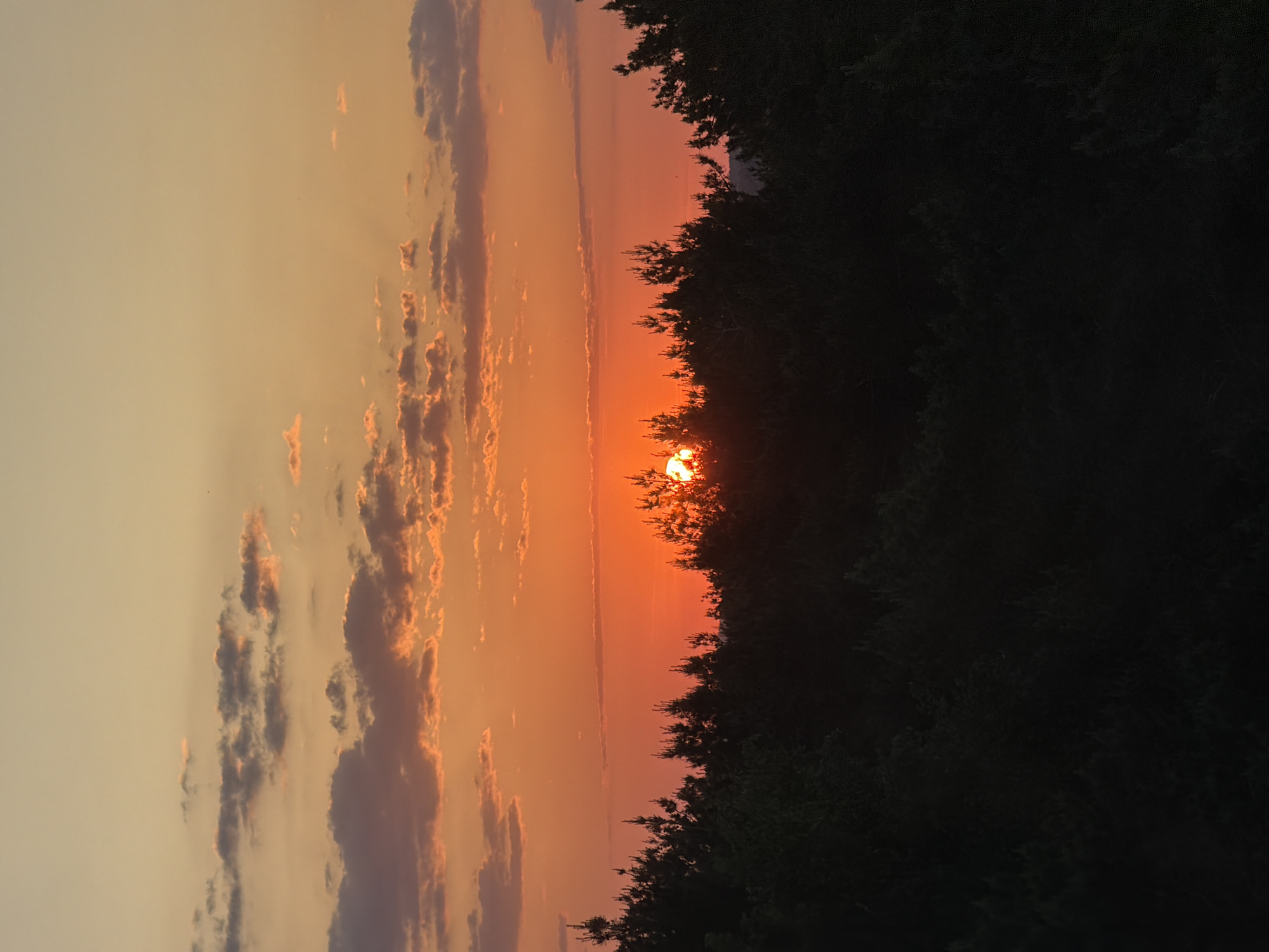 Sunset through trees witnessed in Chaikovsky, Russia
