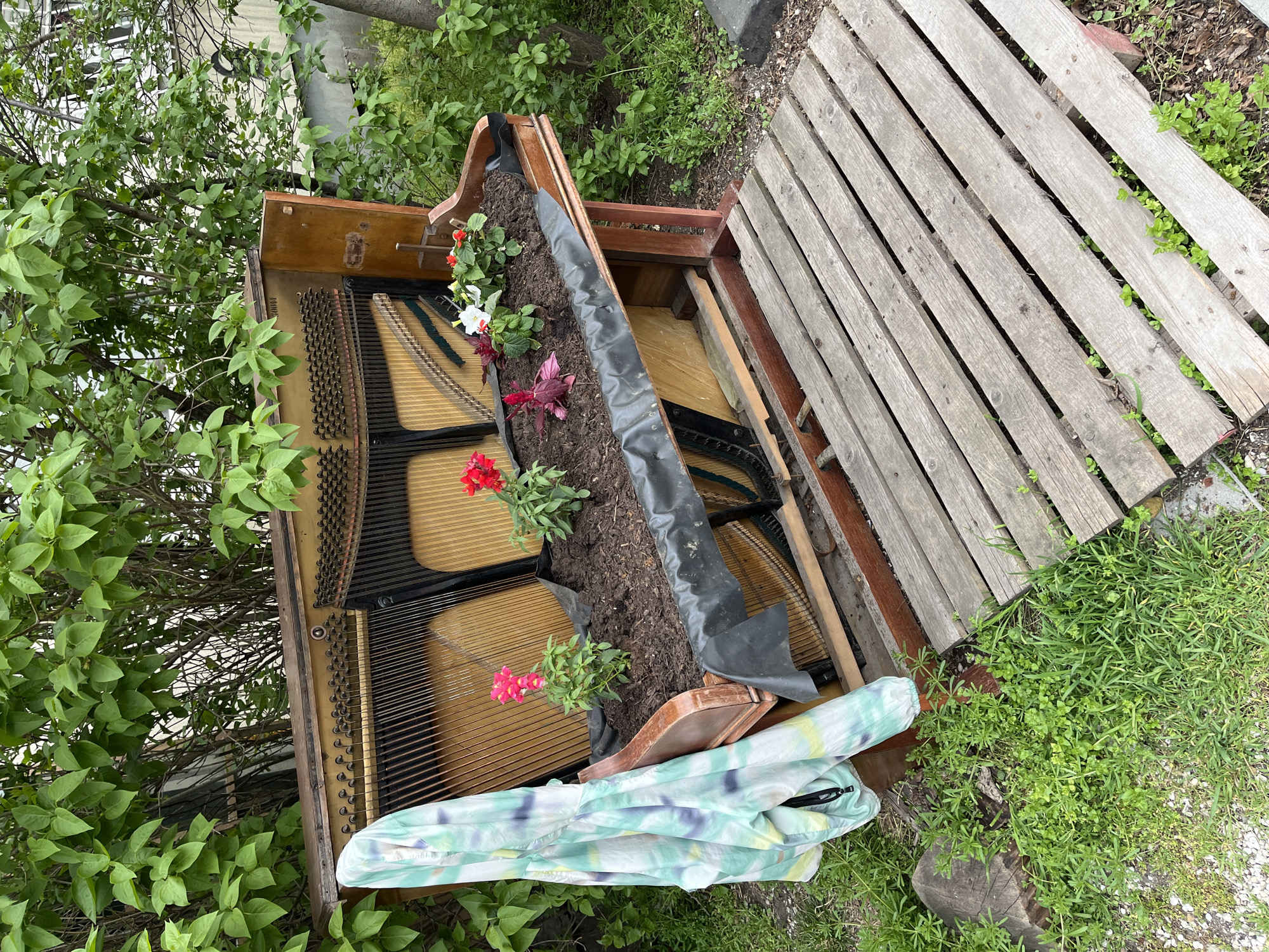 Repurposed piano becomes flower planter in Sofia, Bulgaria