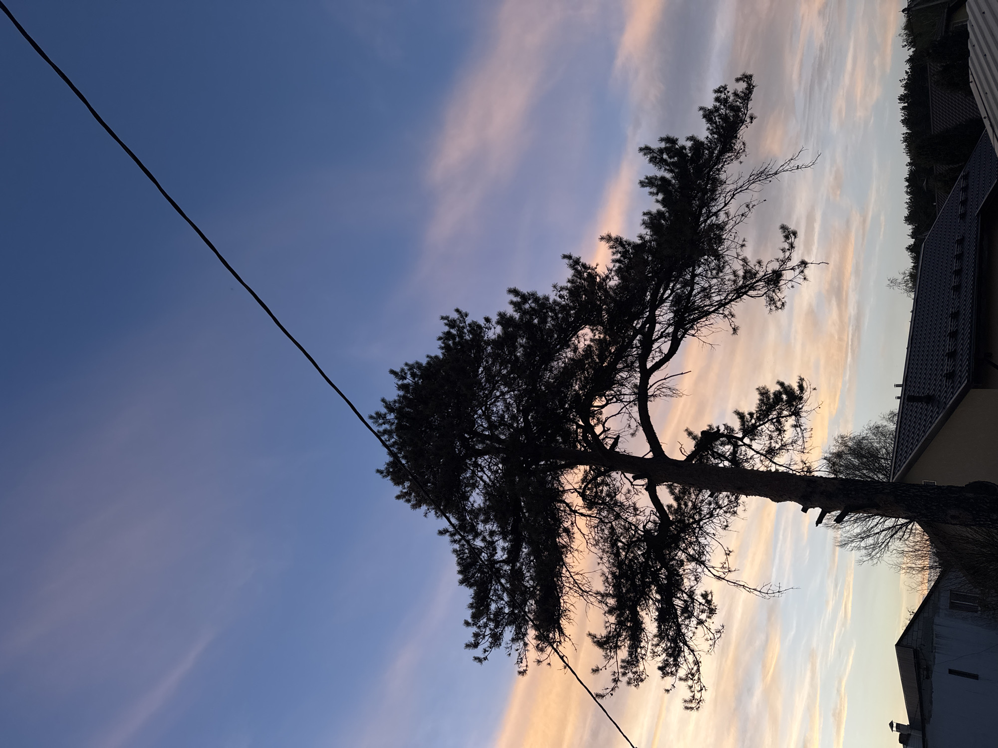 Evening nature scenes documented in rural Belarus countryside