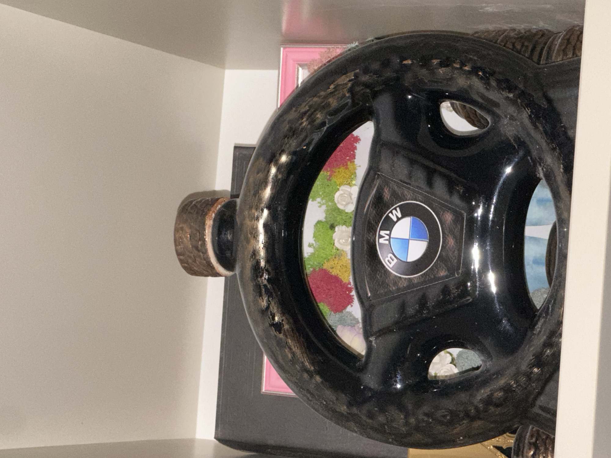 Harmanli resident documents indoor plants and personal items