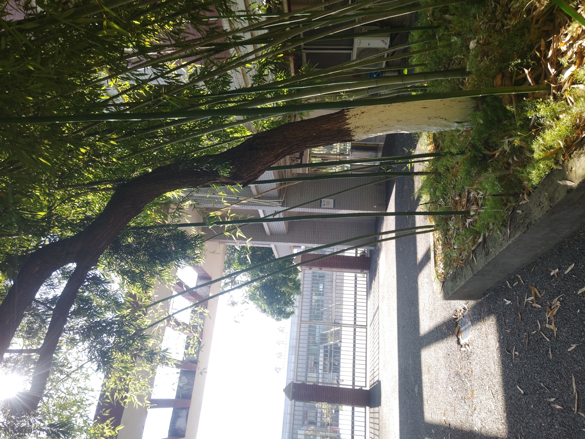 Daily life documented across Chongqing High-tech Zone campus district