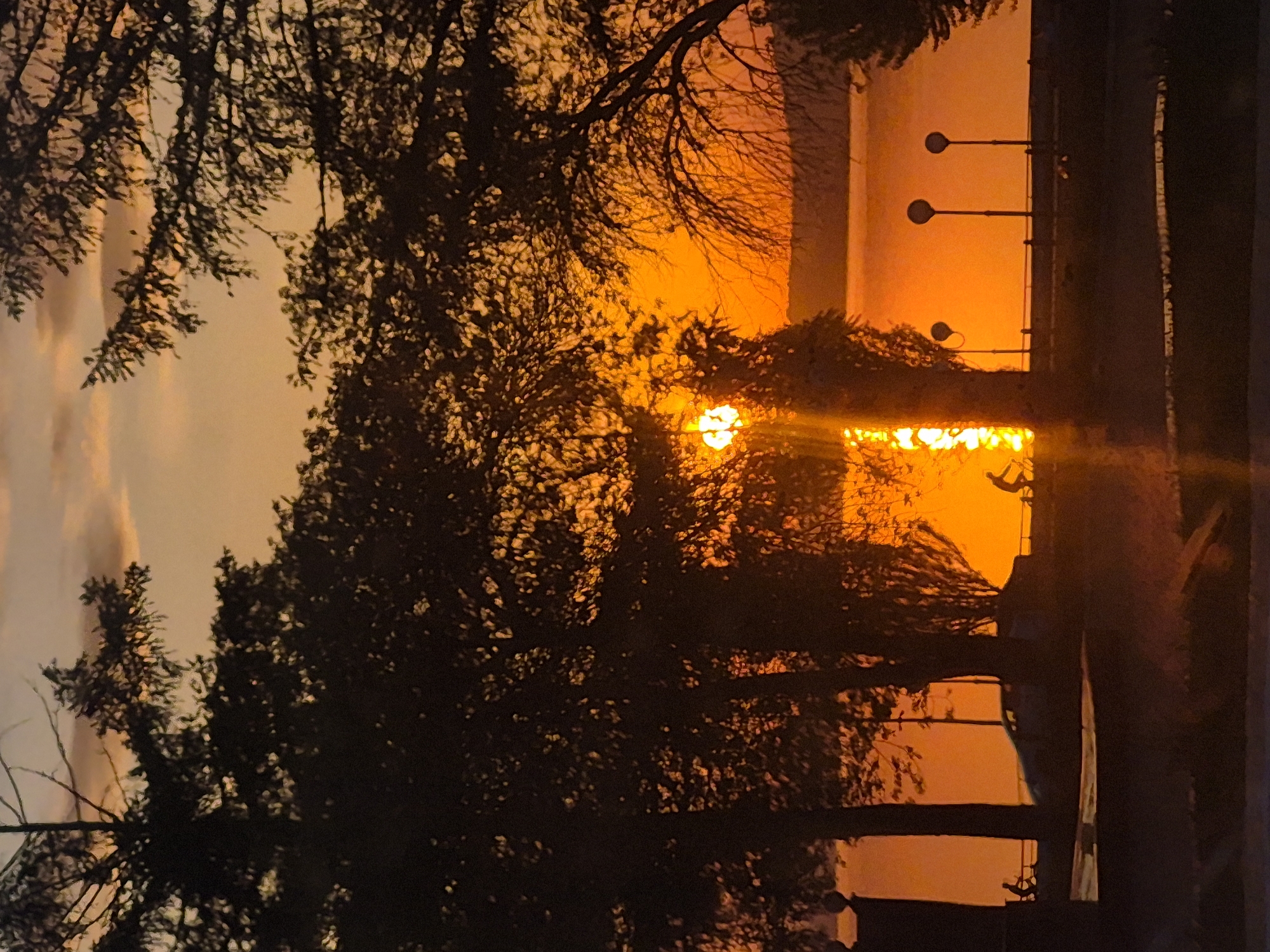 Urban waterfront sunset observed through trees with streetlights