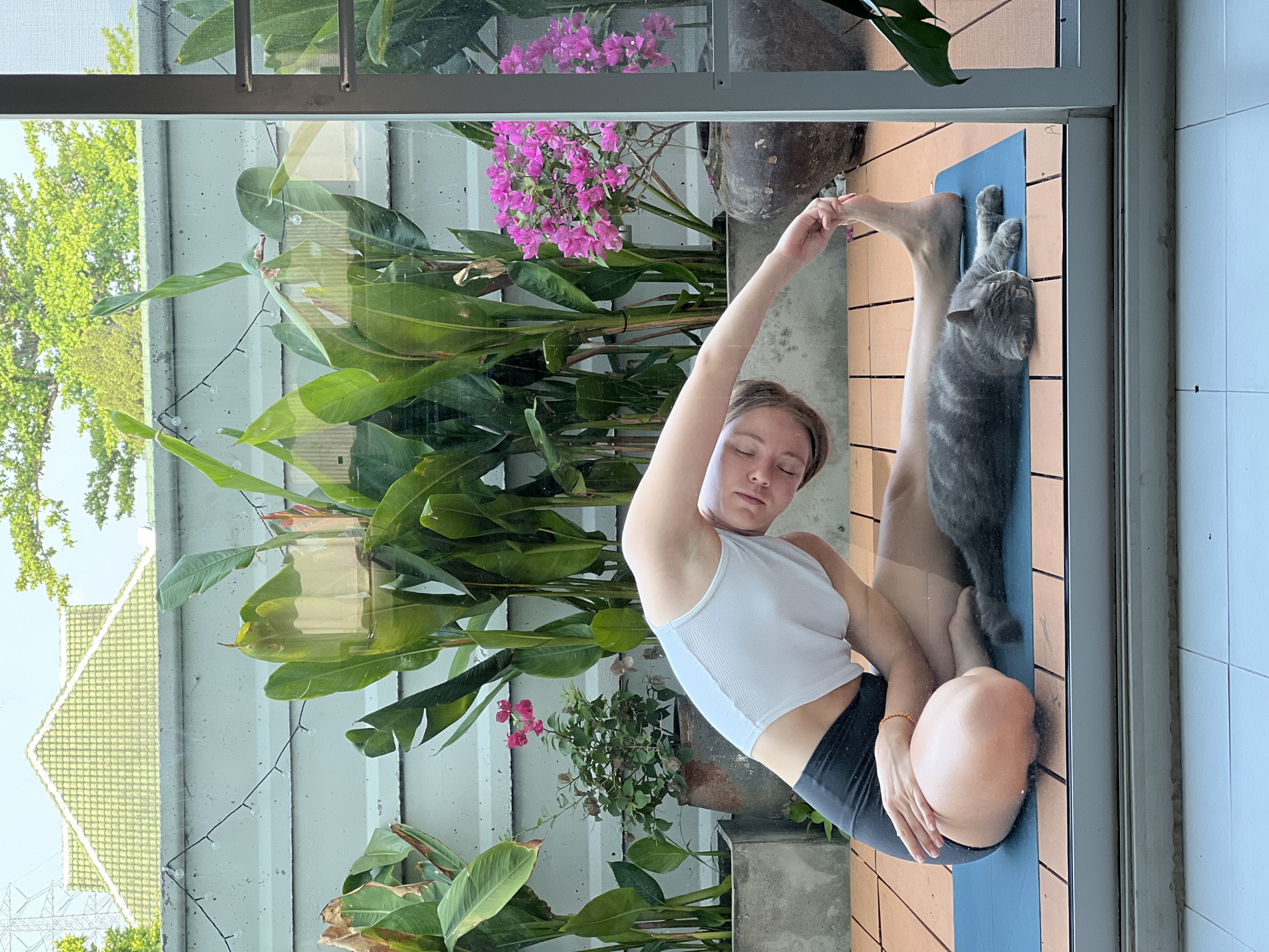 Early morning yoga session observed in Chang Phueak, Thailand