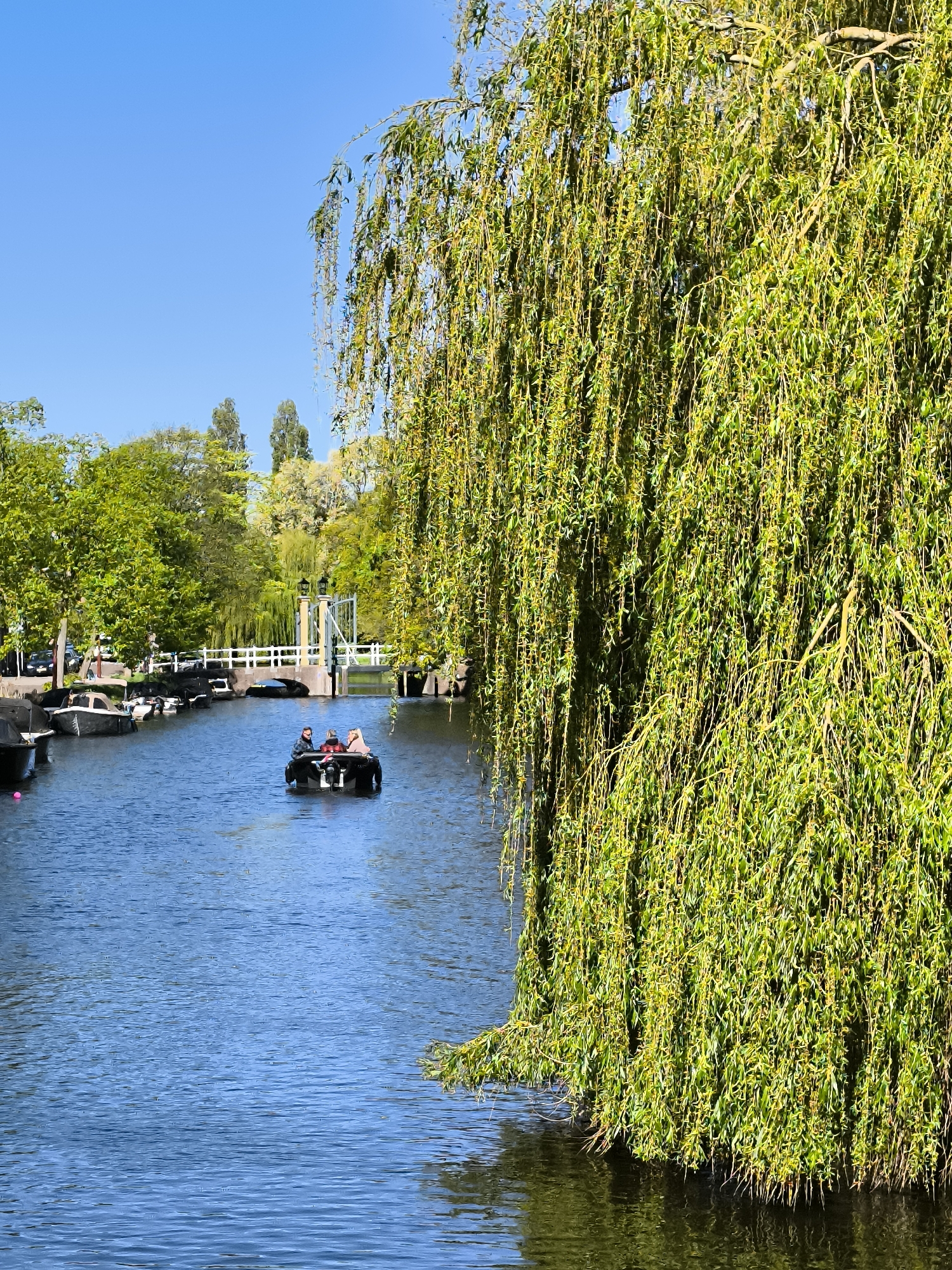 Spring morning canal scene documented in Alkmaar, Netherlands