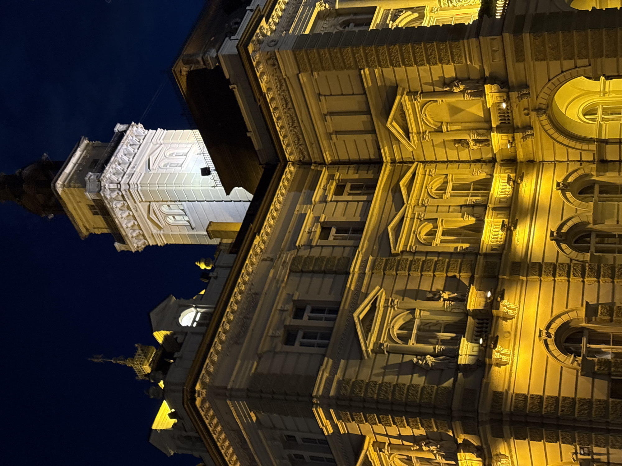 Novi Sad's illuminated City Hall and cathedral at night