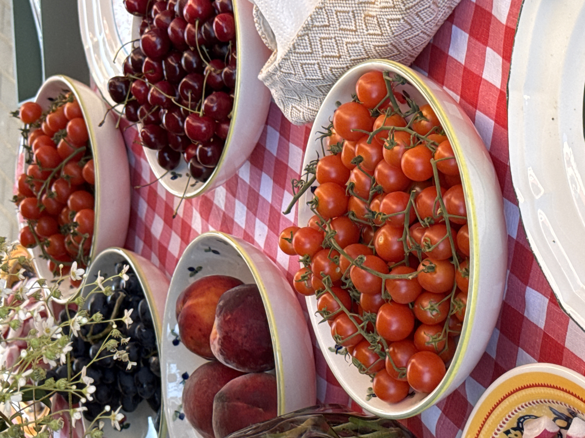 Casual outdoor picnic event with food and DJ in Kirov