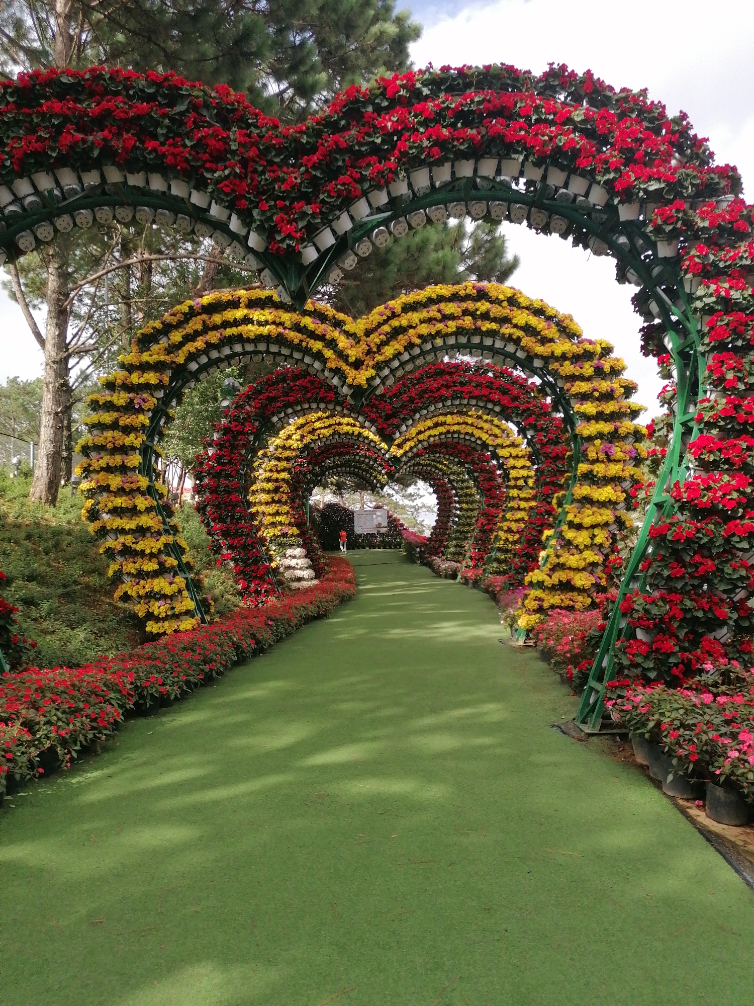 Đà Lạt's Xuân Hương Lake garden displays in full bloom