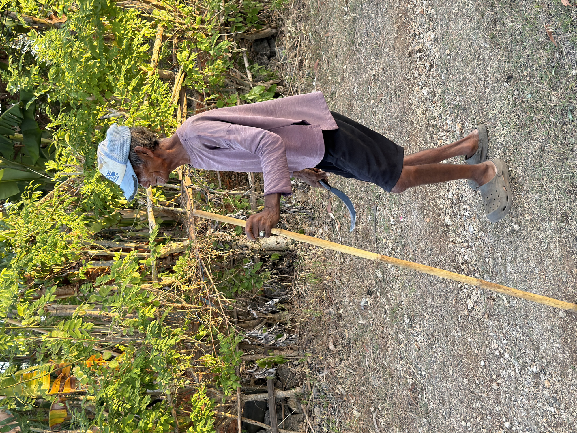 Everyday life in Kuta Selatan: chores, scooters, and papayas