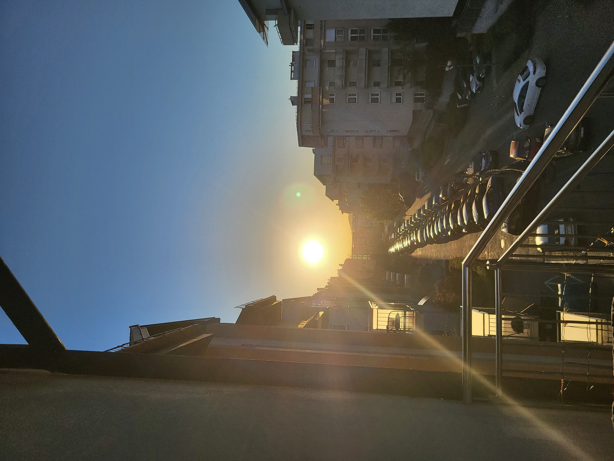 City street sunrise and indoor cat captured by witnesses