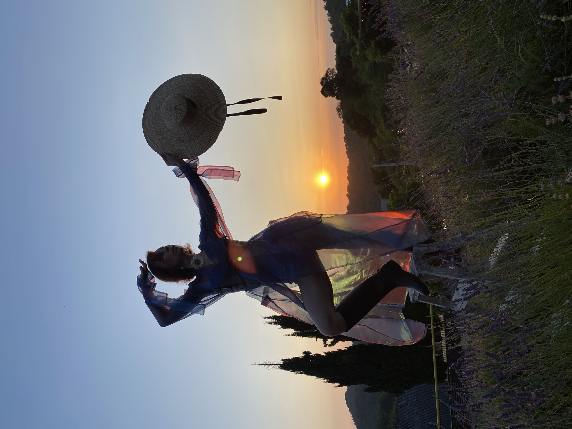 Lavender field and garden shoot at sunset, Verkhneye Uchdere