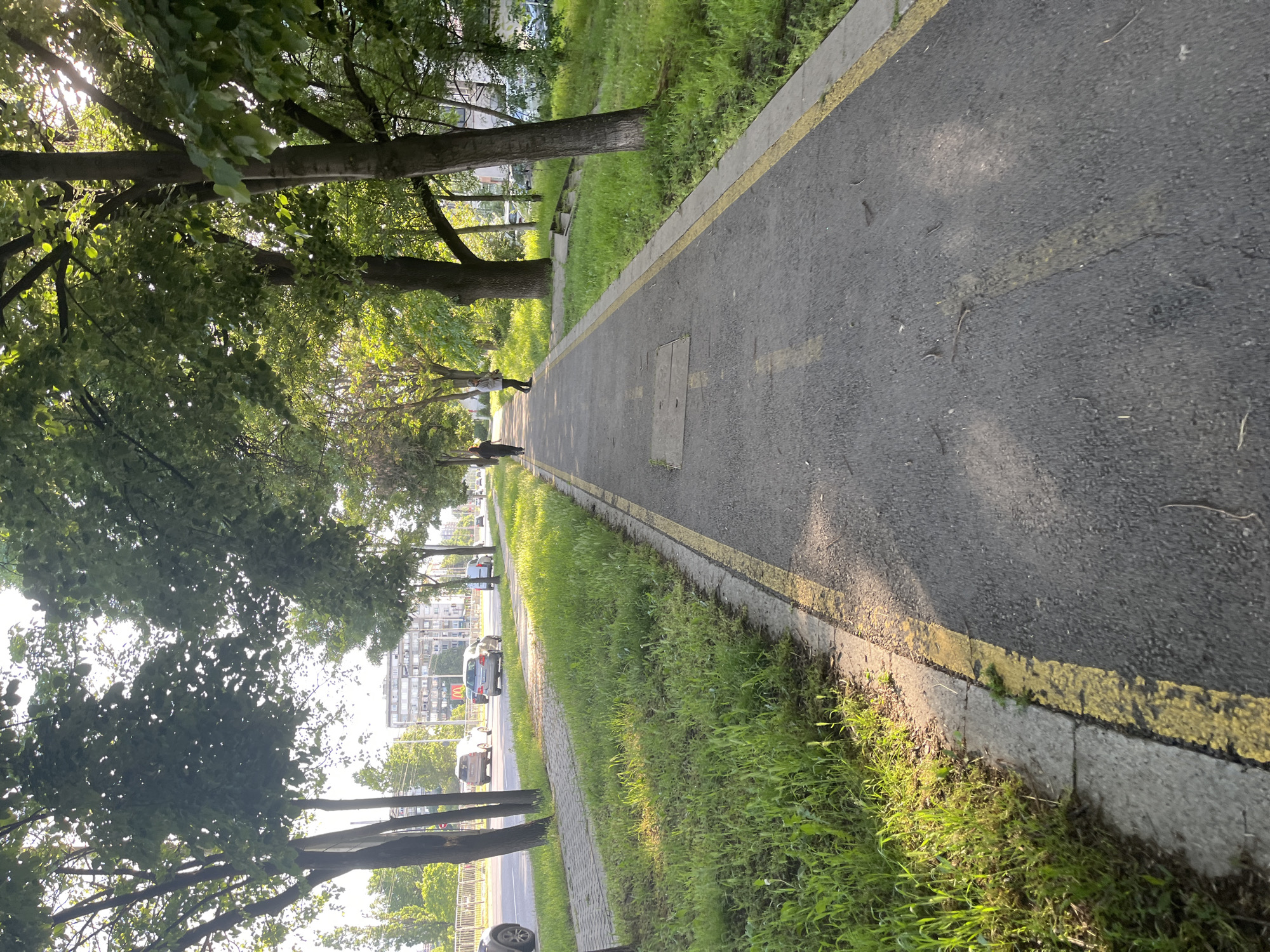 Pedestrian walkway with yellow markings observed in Sofia