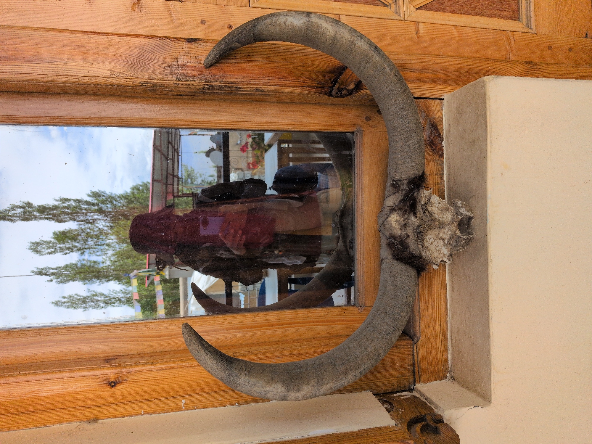 Traditional details and animal skulls in old Leh