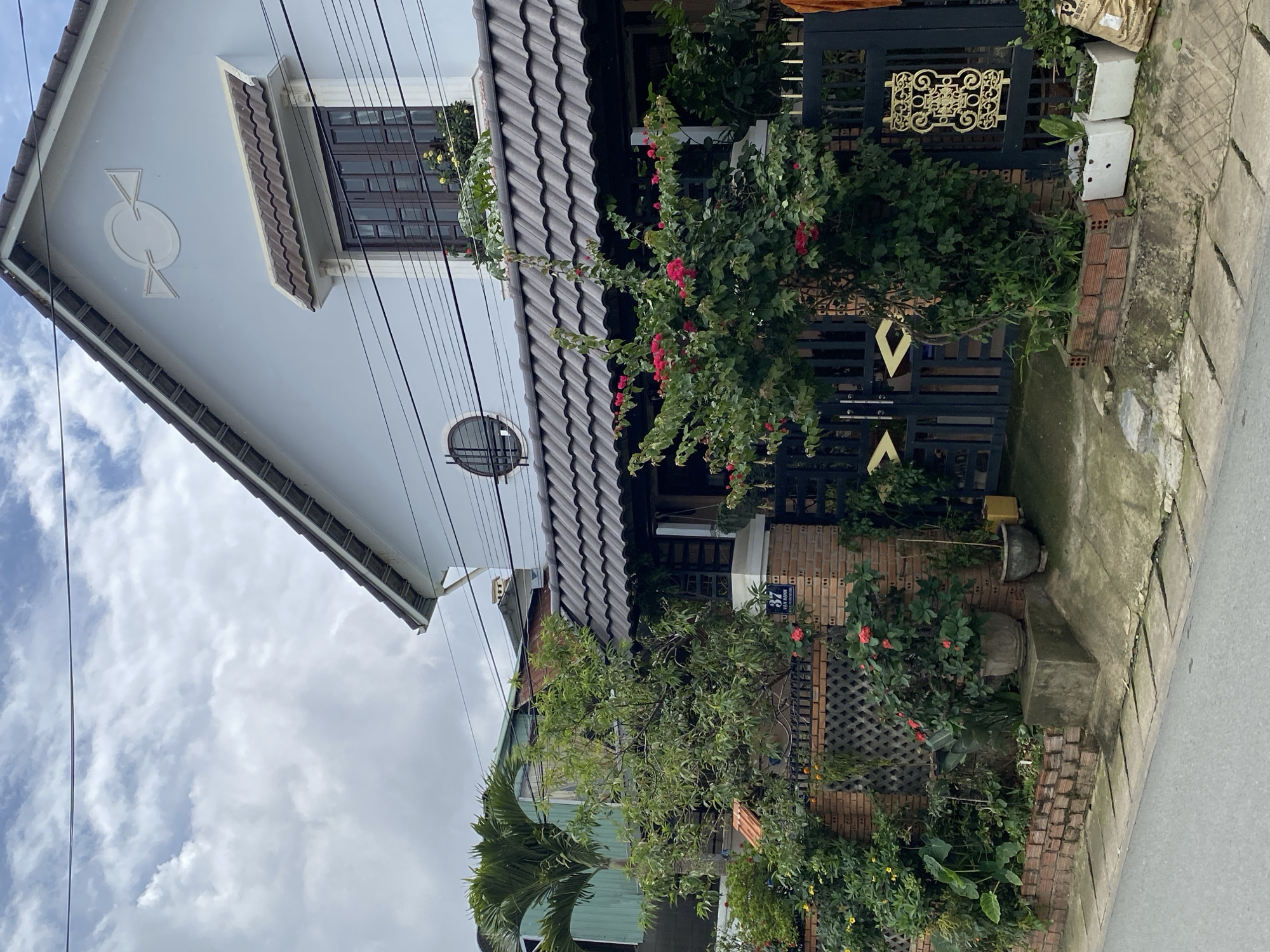 Morning at a garden café in misty Đà Lạt