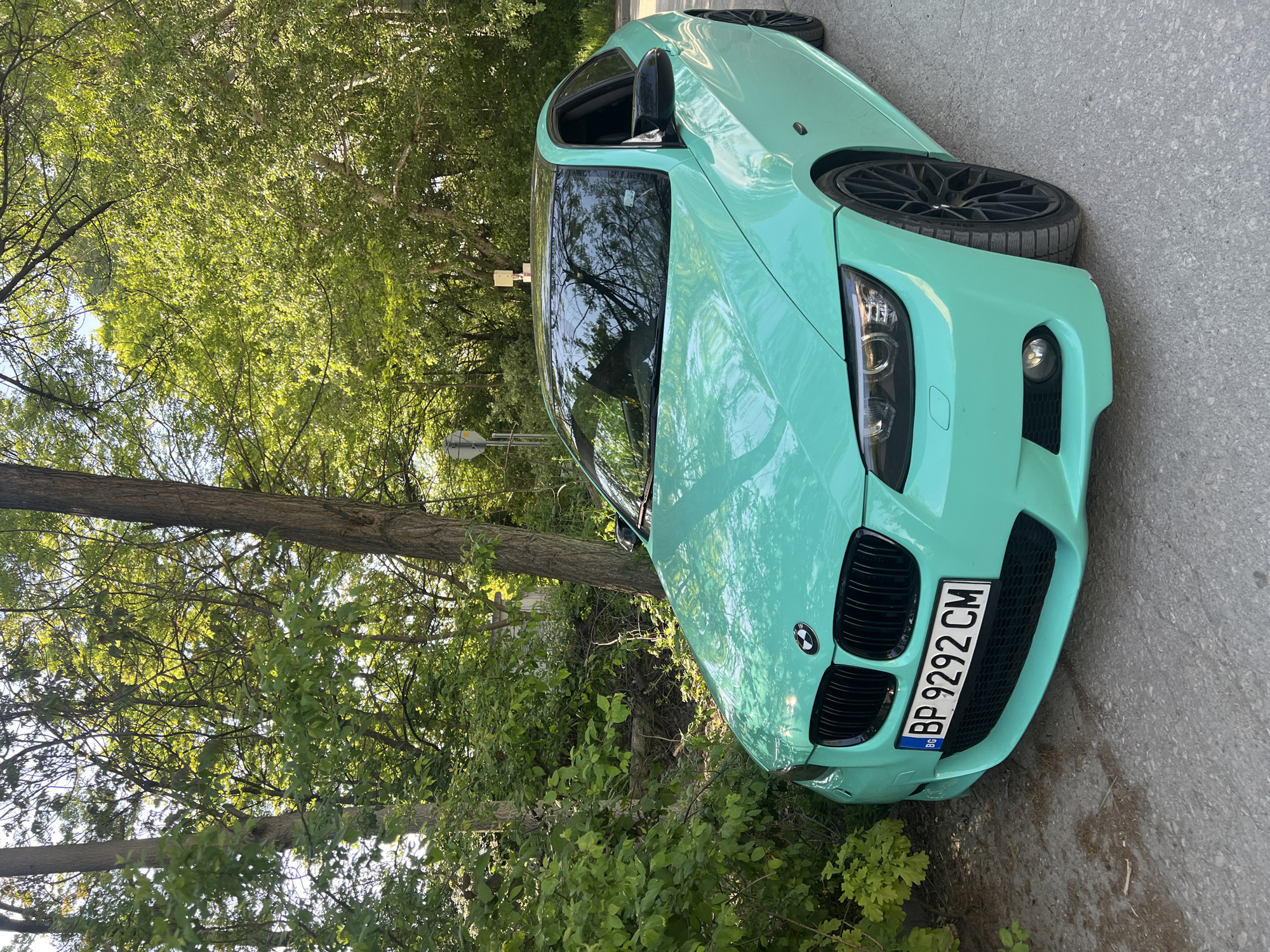 Driver documents BMW journey with wire art in Plovdiv